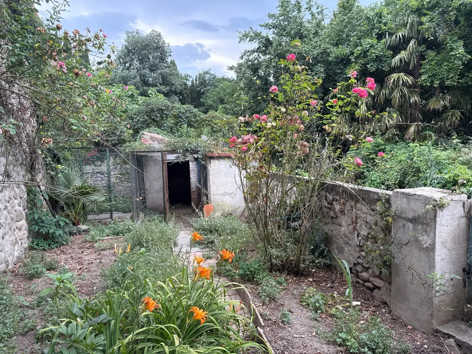 Maison de ville avec jardin, terrasse et garage à Céret (66400) - Opportunité à saisir 