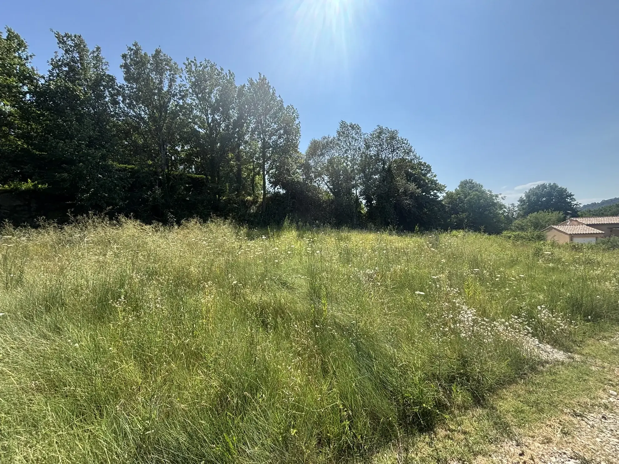 Terrain constructible à vendre à Entrechaux - 740 m² de surface bâtissable