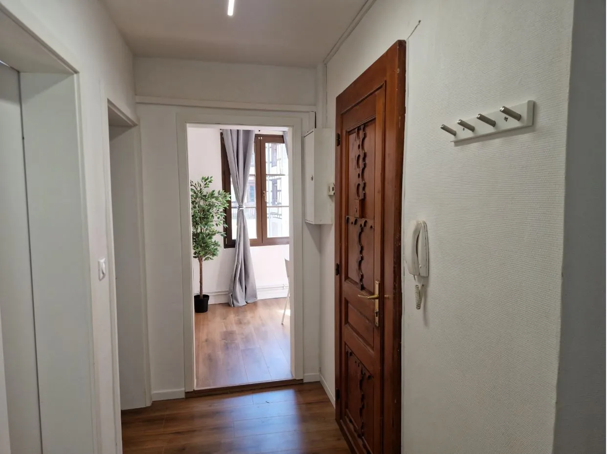 Appartement 3 pièces rénové à Strasbourg Centre avec cave et chauffage gaz 
