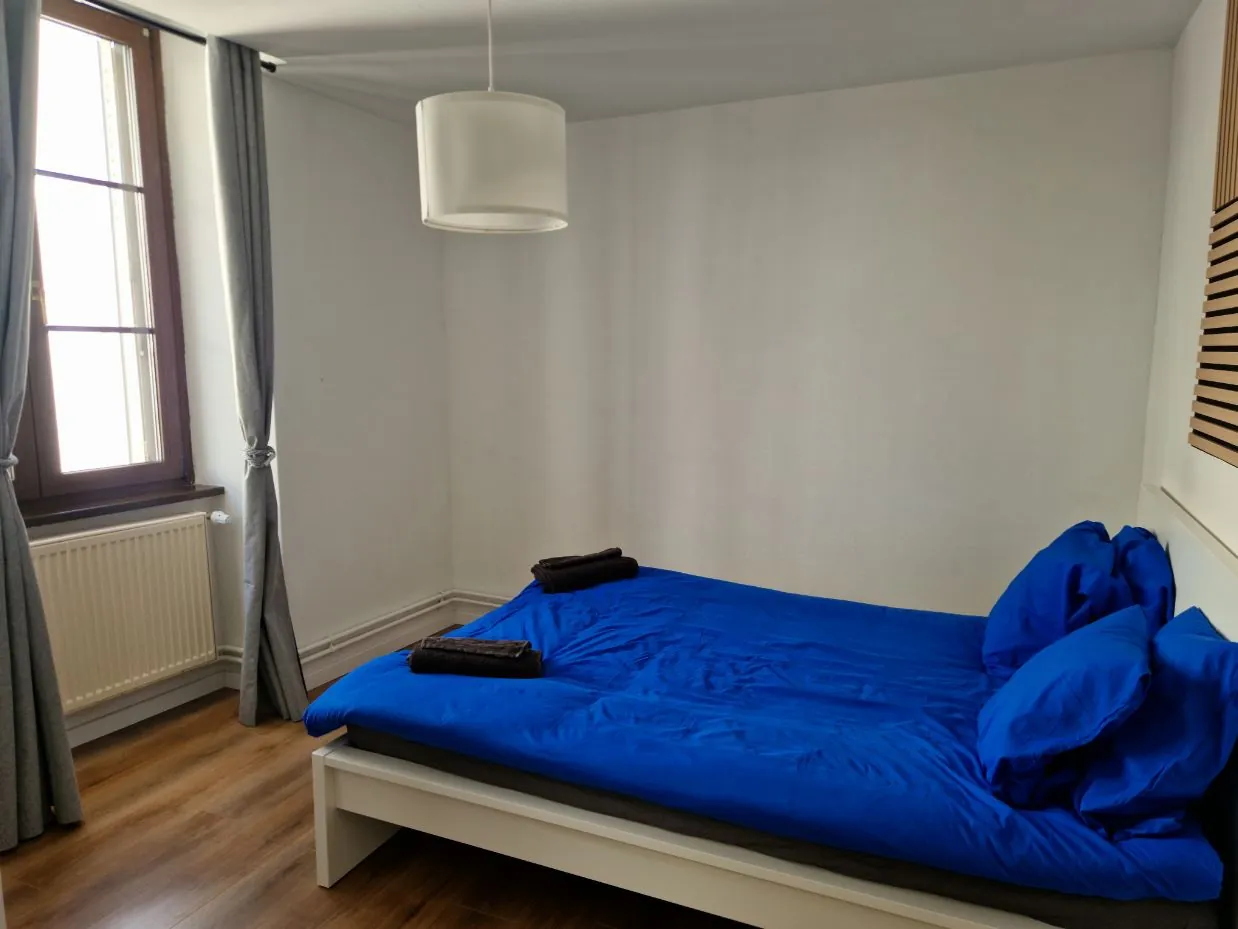 Appartement 3 pièces rénové à Strasbourg Centre avec cave et chauffage gaz 