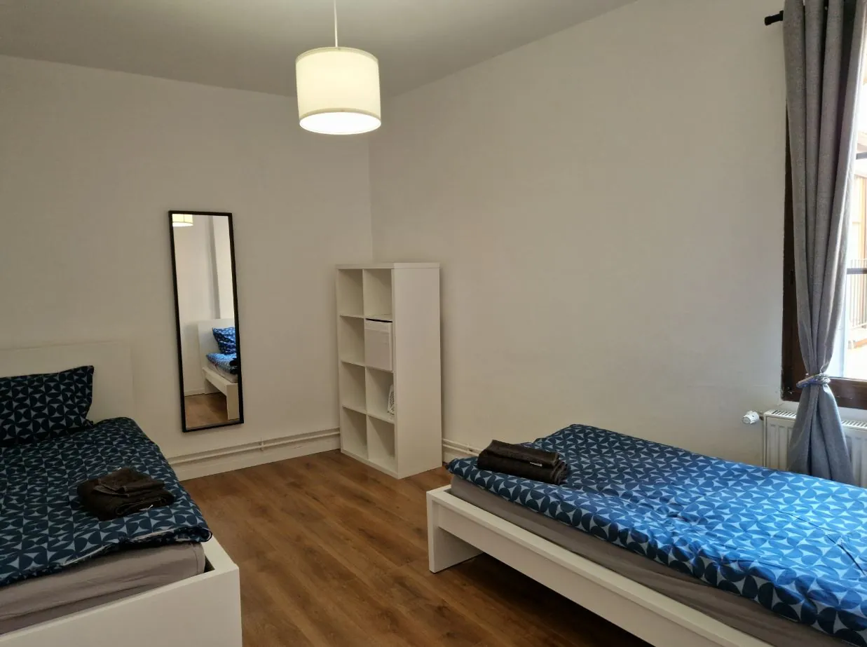 Appartement 3 pièces rénové à Strasbourg Centre avec cave et chauffage gaz 