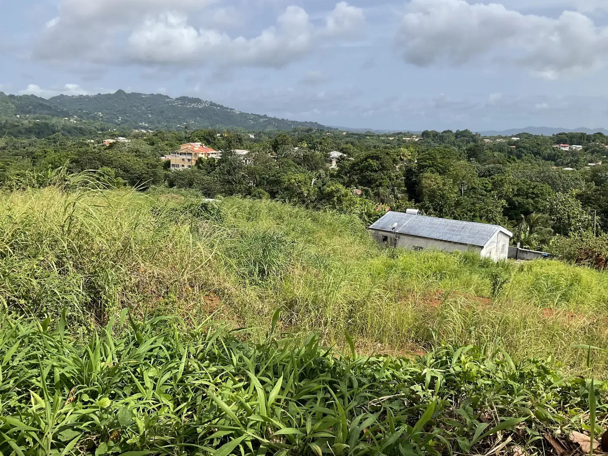Terrain constructible de 495,48 m² au Robert - Vue dégagée et environnement calme 