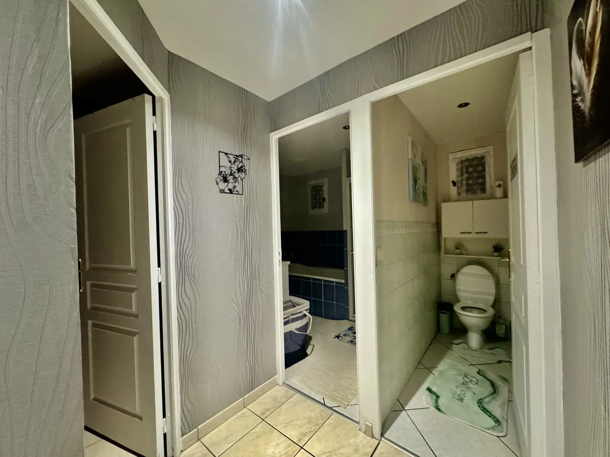 Belle maison de 160 m² avec dépendance et grand terrain à Mescoules 