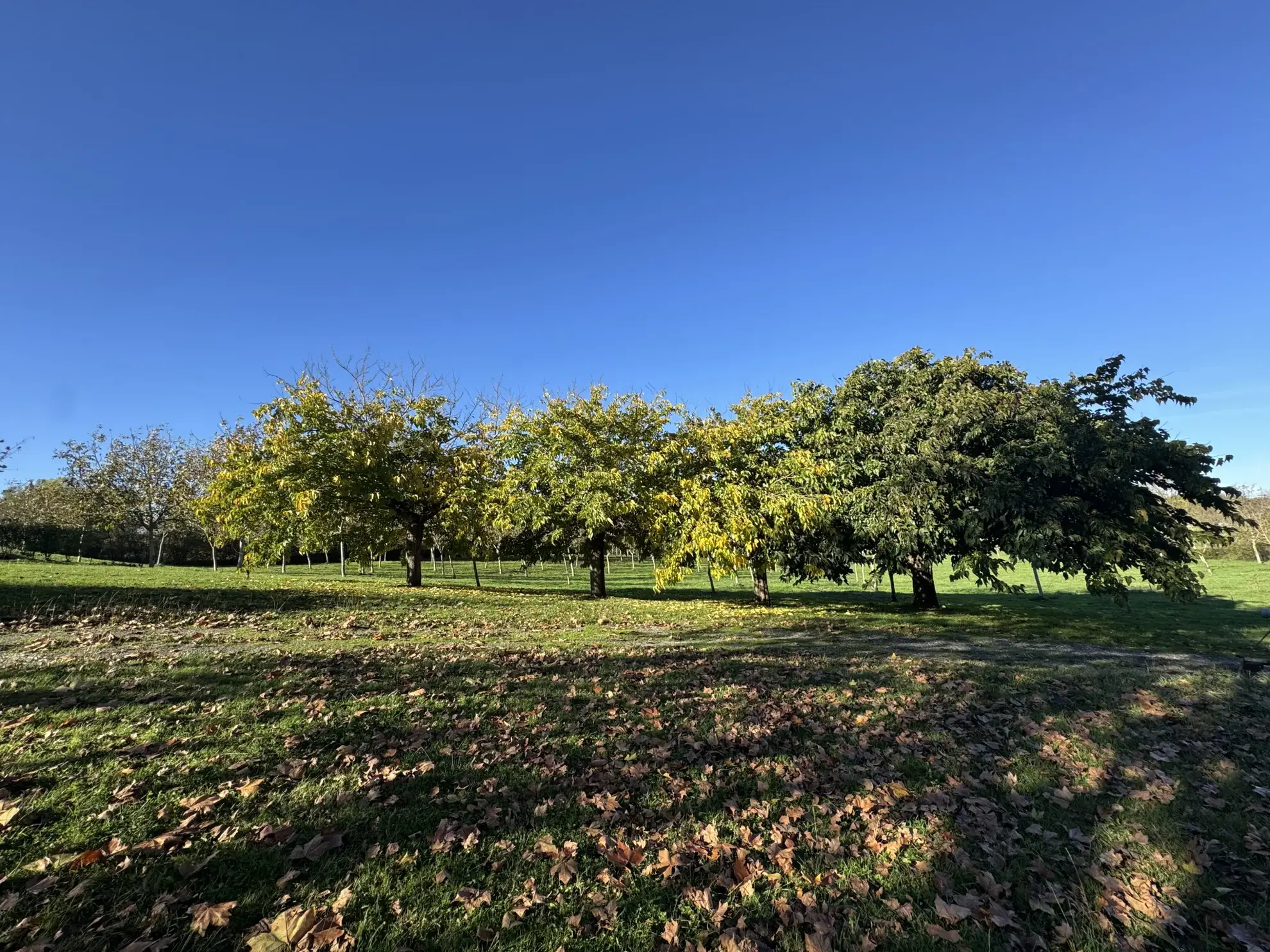 Belle maison de 160 m² avec dépendance et grand terrain à Mescoules 