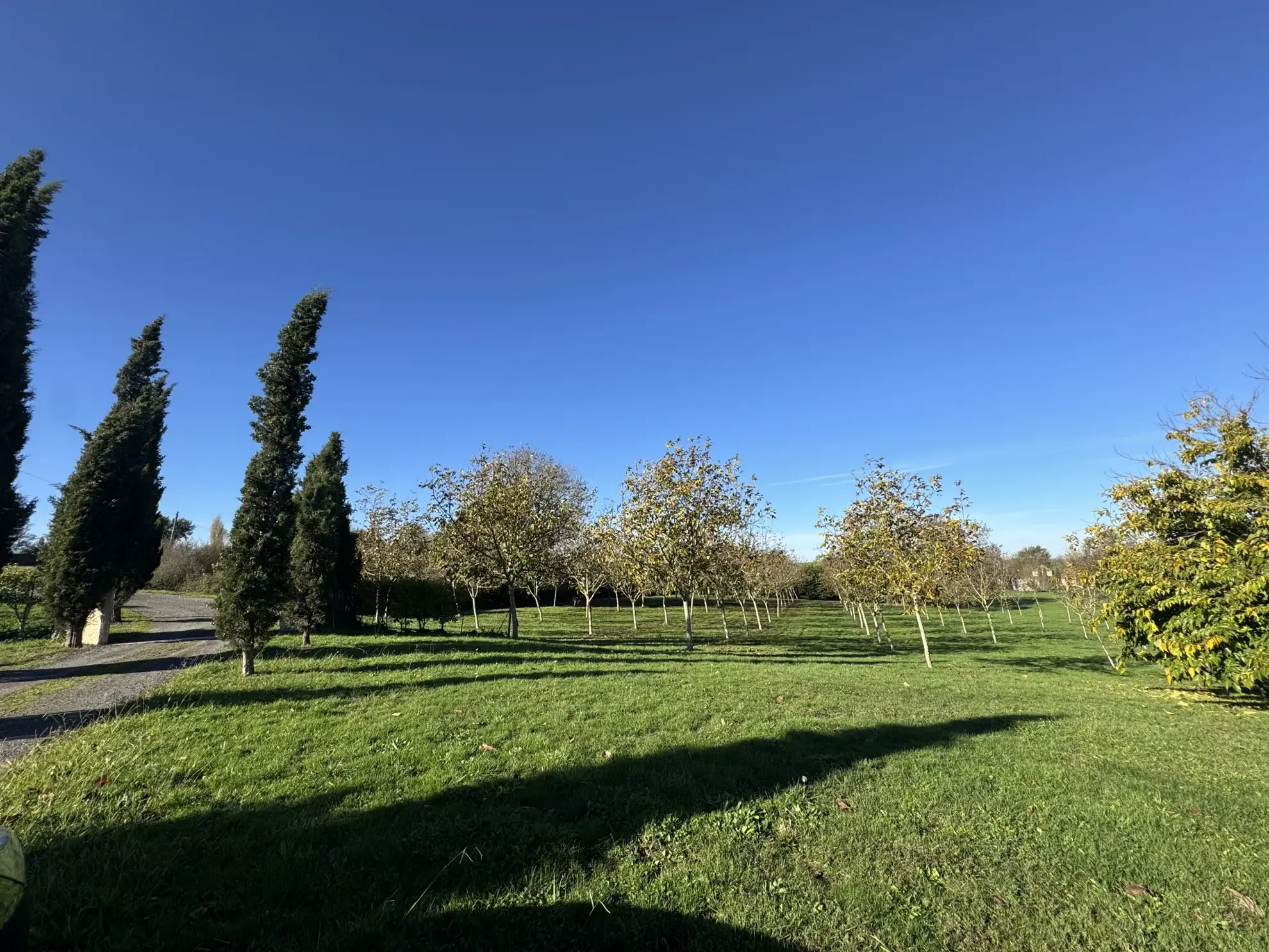 Belle maison de 160 m² avec dépendance et grand terrain à Mescoules 