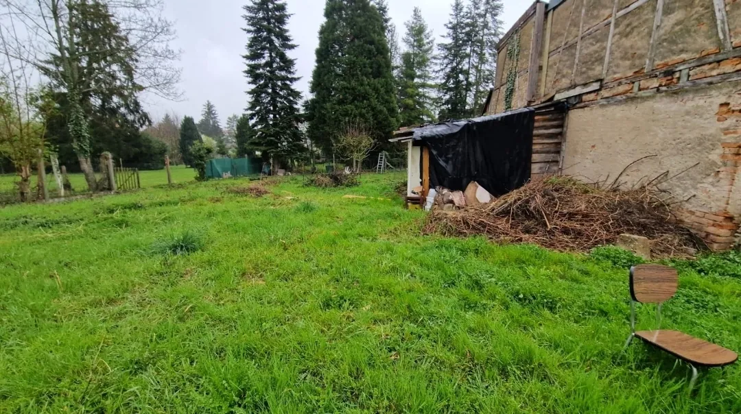 Maison type F2 avec grand jardin à Hégenheim - Investissement ou résidence principale 