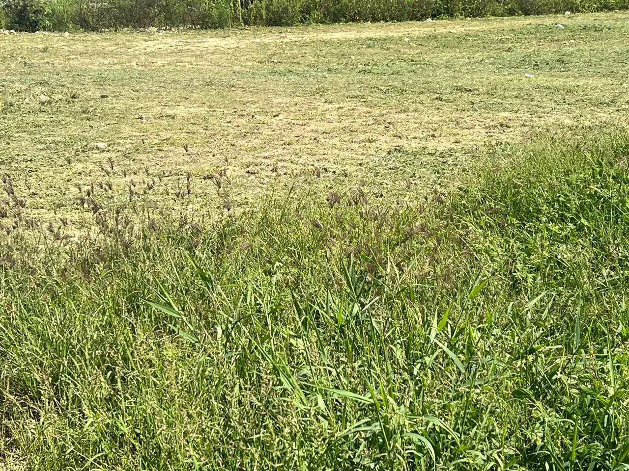 Terrain constructible de 522 m² au Moule - Secteur calme