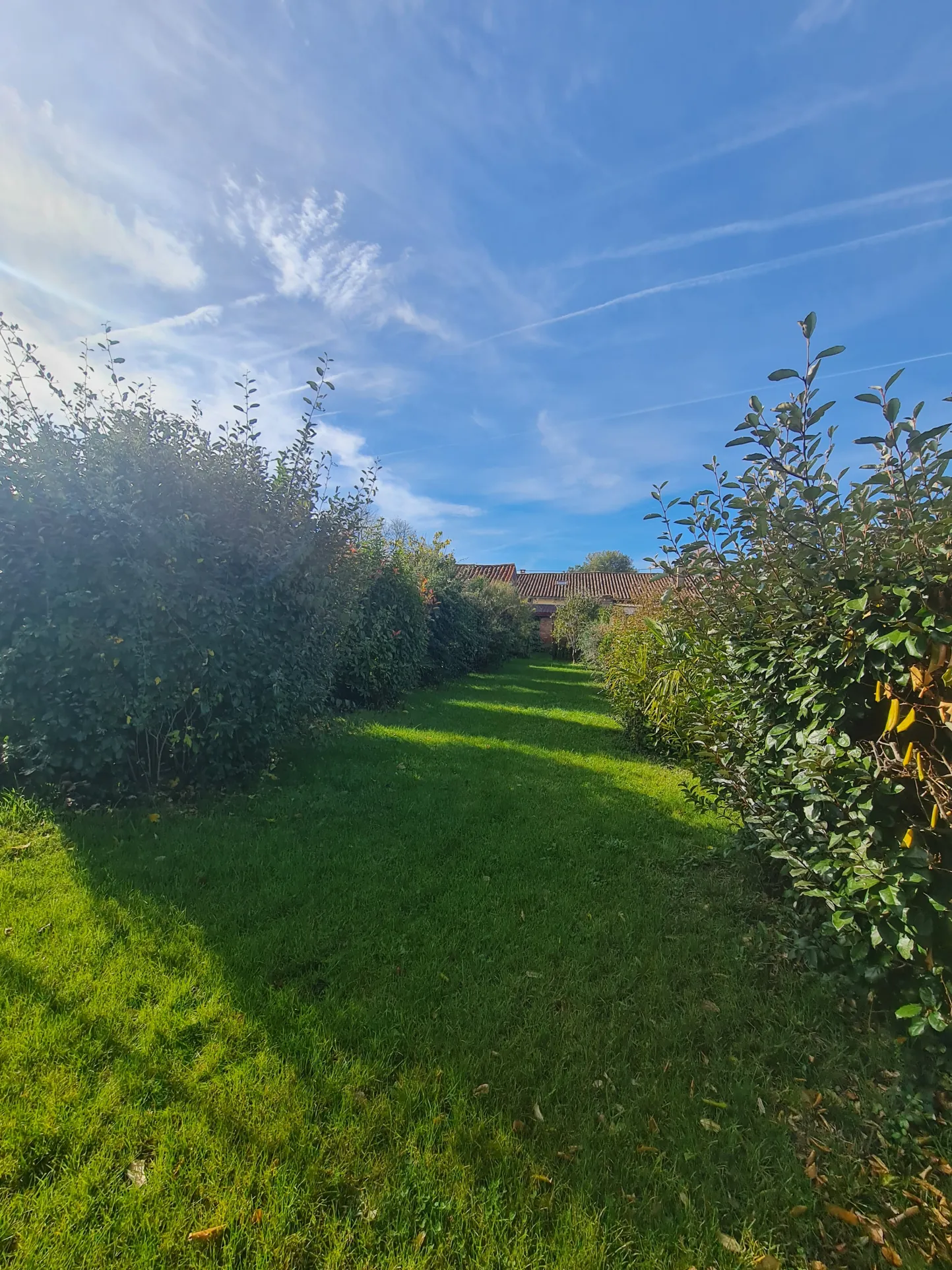 Maison de village 90 m² avec terrasse et jardin à proximité de Toulouse 