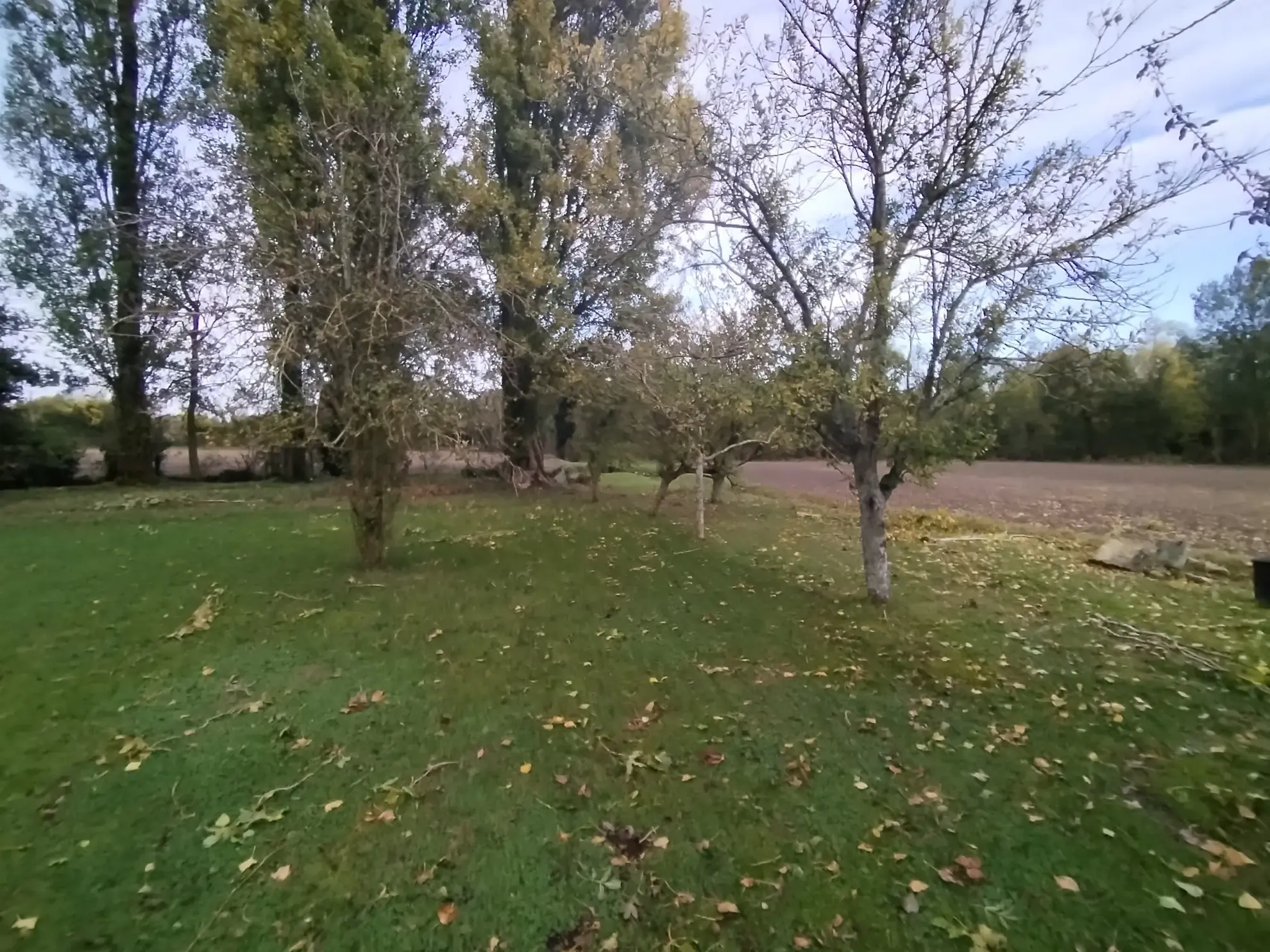 Belle maison jumelée de 3/4 pièces avec jardin à Wittelsheim 