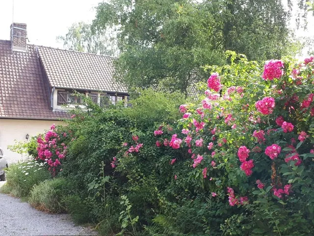 Maison de charme à vendre à Canlers avec jardin et cheminée 