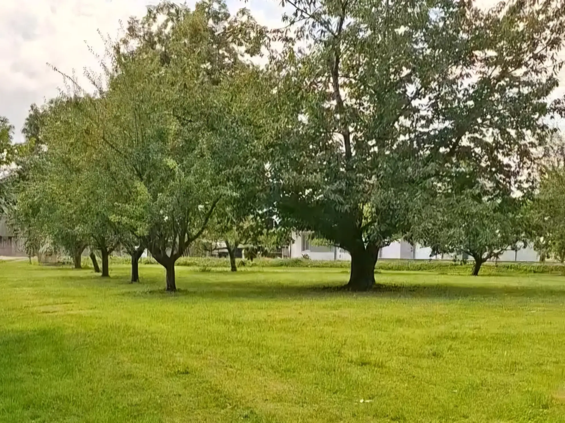 Terrain constructible à 20 minutes de Metz à Alaincourt-la-Côte 