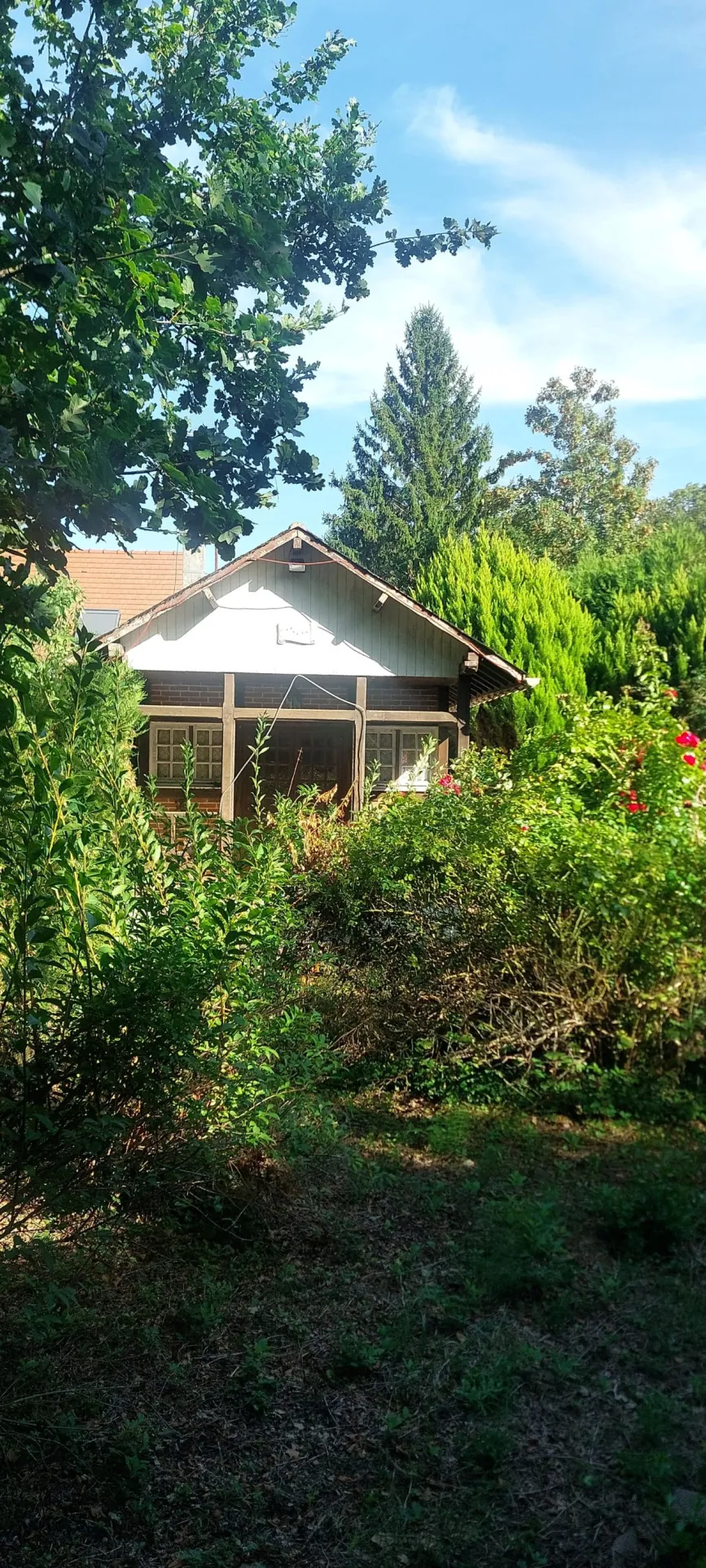 Maison avec accès à la rivière à Champs-sur-Yonne - 72 m² à rénover 
