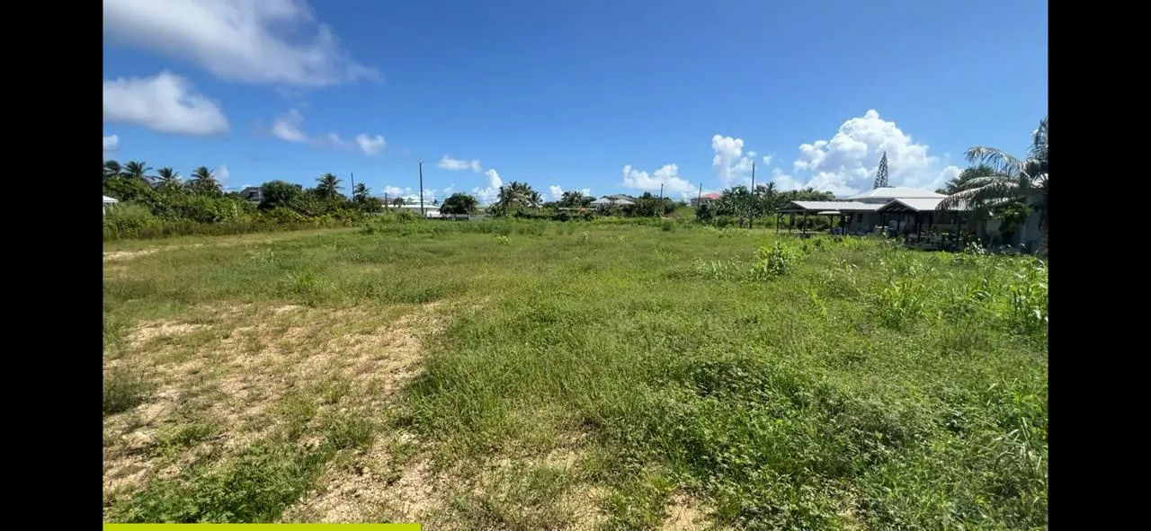 Terrain constructible de 625 m² au Moule, secteur calme et proche commodités 