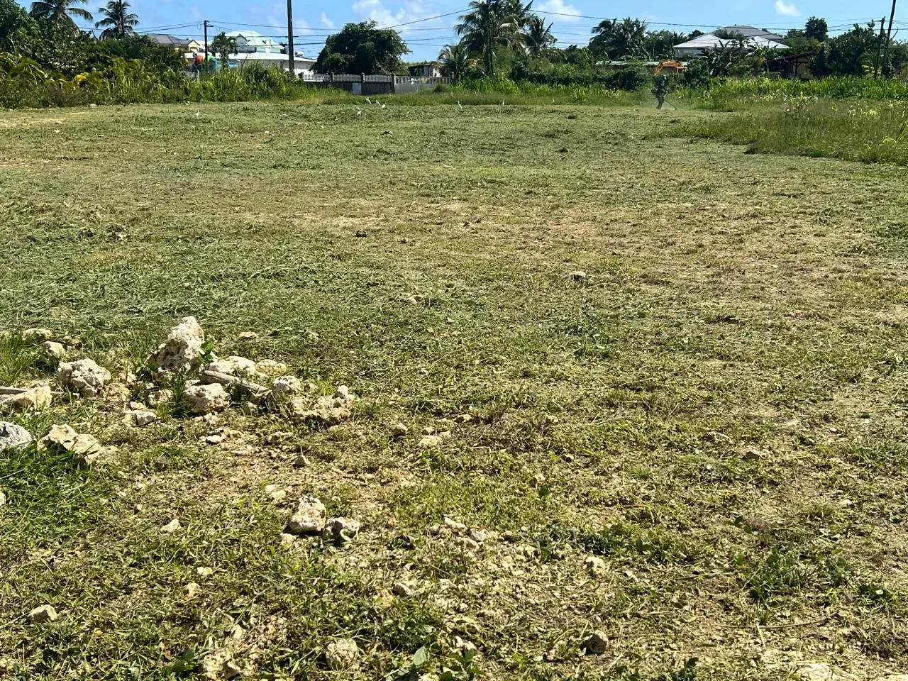 Terrain constructible de 625 m² au Moule, secteur calme et proche commodités 