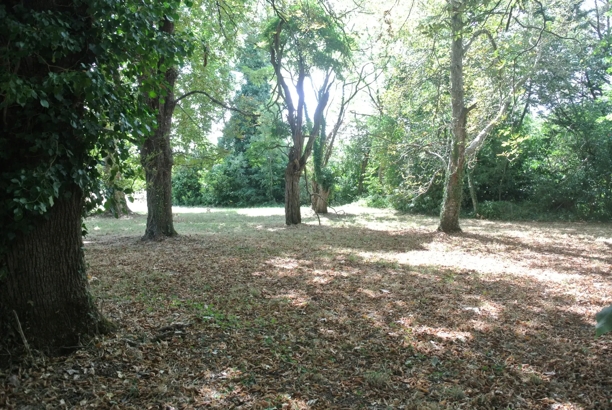 Maison bourgeoise à rénover sur 1,5 ha à Miramont de Guyenne 