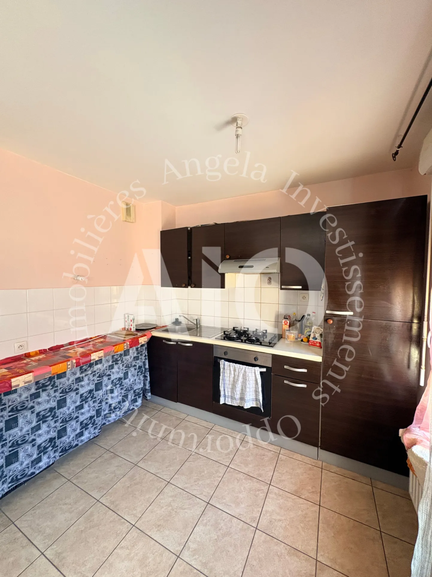 Appartement T2 de 50 m² avec terrasse, stationnement et cave à Villeurbanne 