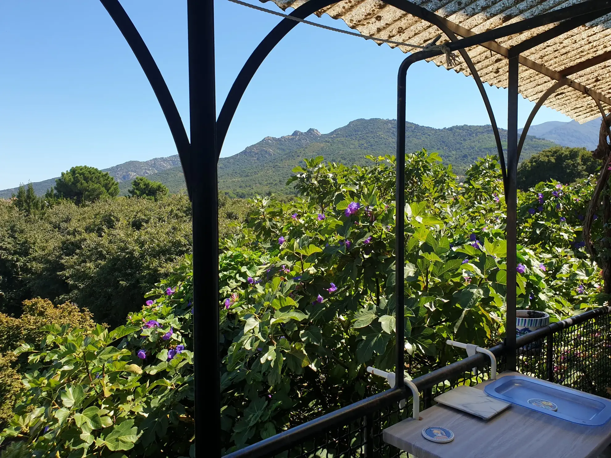 Appartement duplex avec balcon et cour dans les Albères à Sorede 