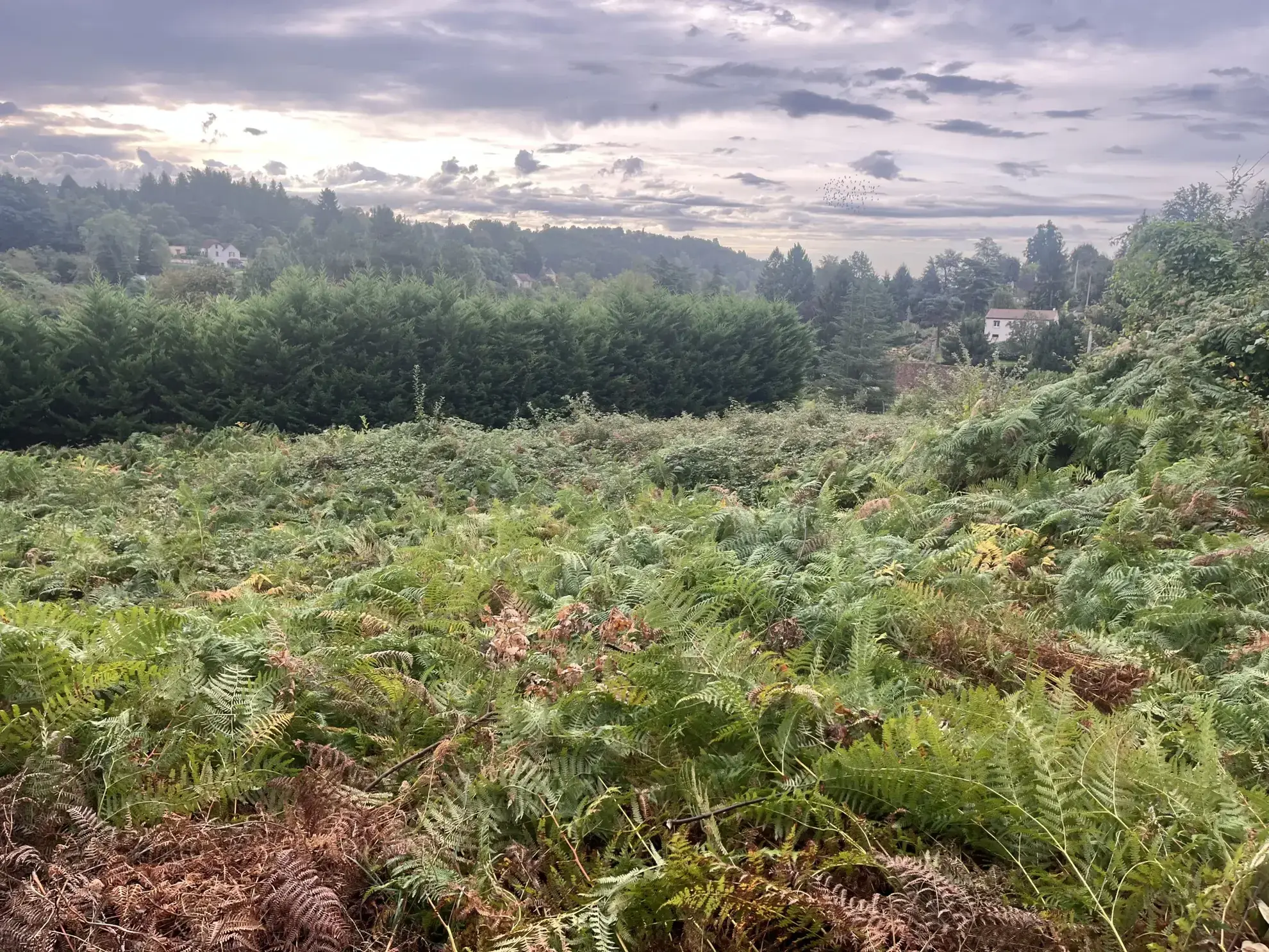 Maison en pierres à restaurer à Sarlat avec grand terrain de 26 000 m² 