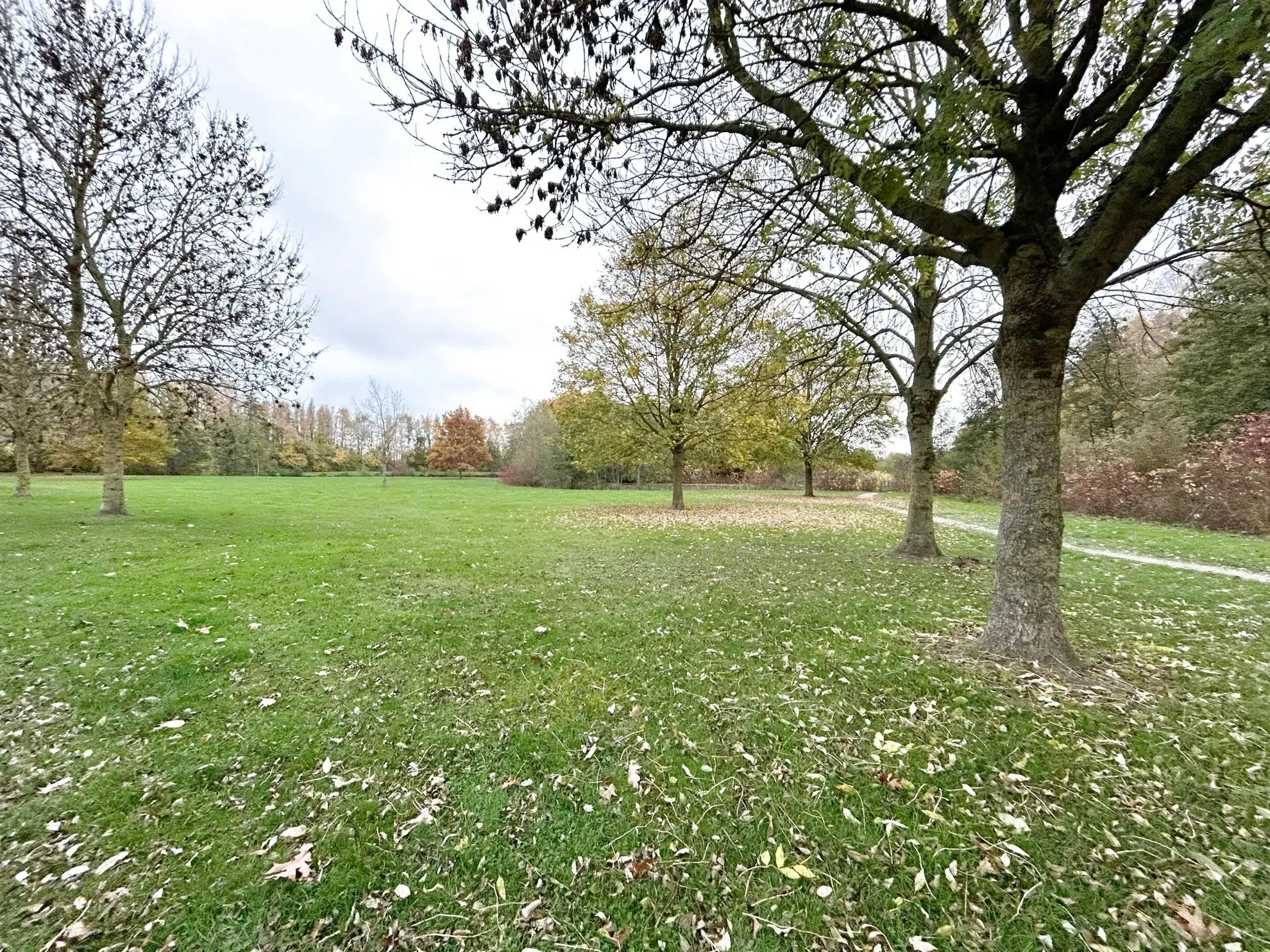 Maison en plain-pied à SALOME avec garage et jardin – 90 m² 