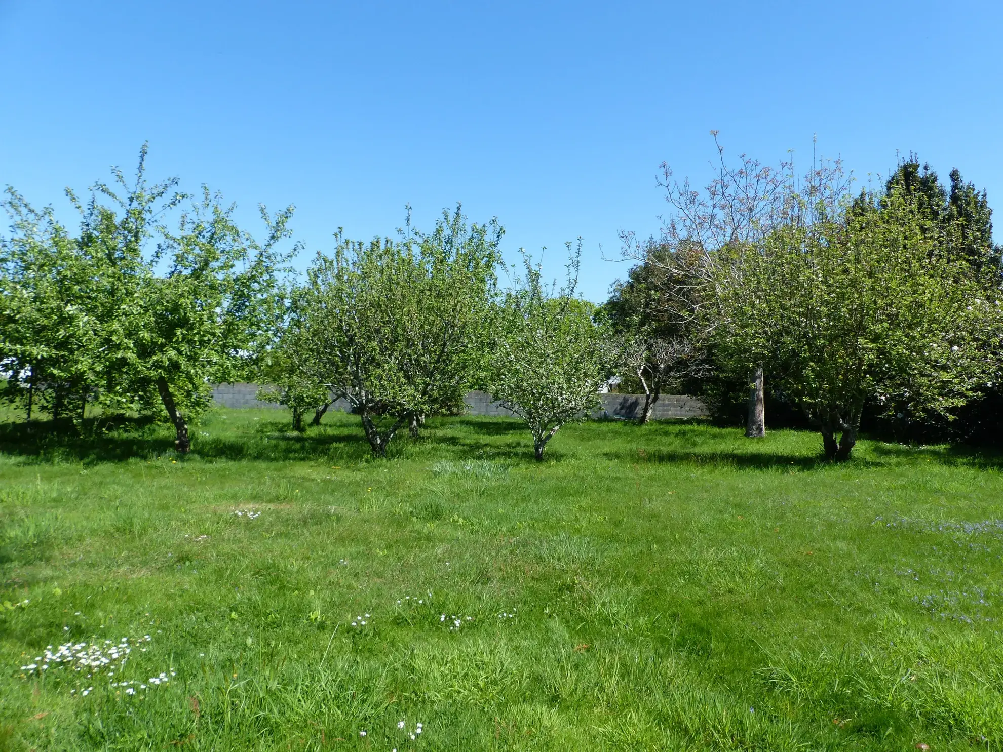 Terrain à bâtir de 1053 m² à Fouesnant, secteur calme et recherché