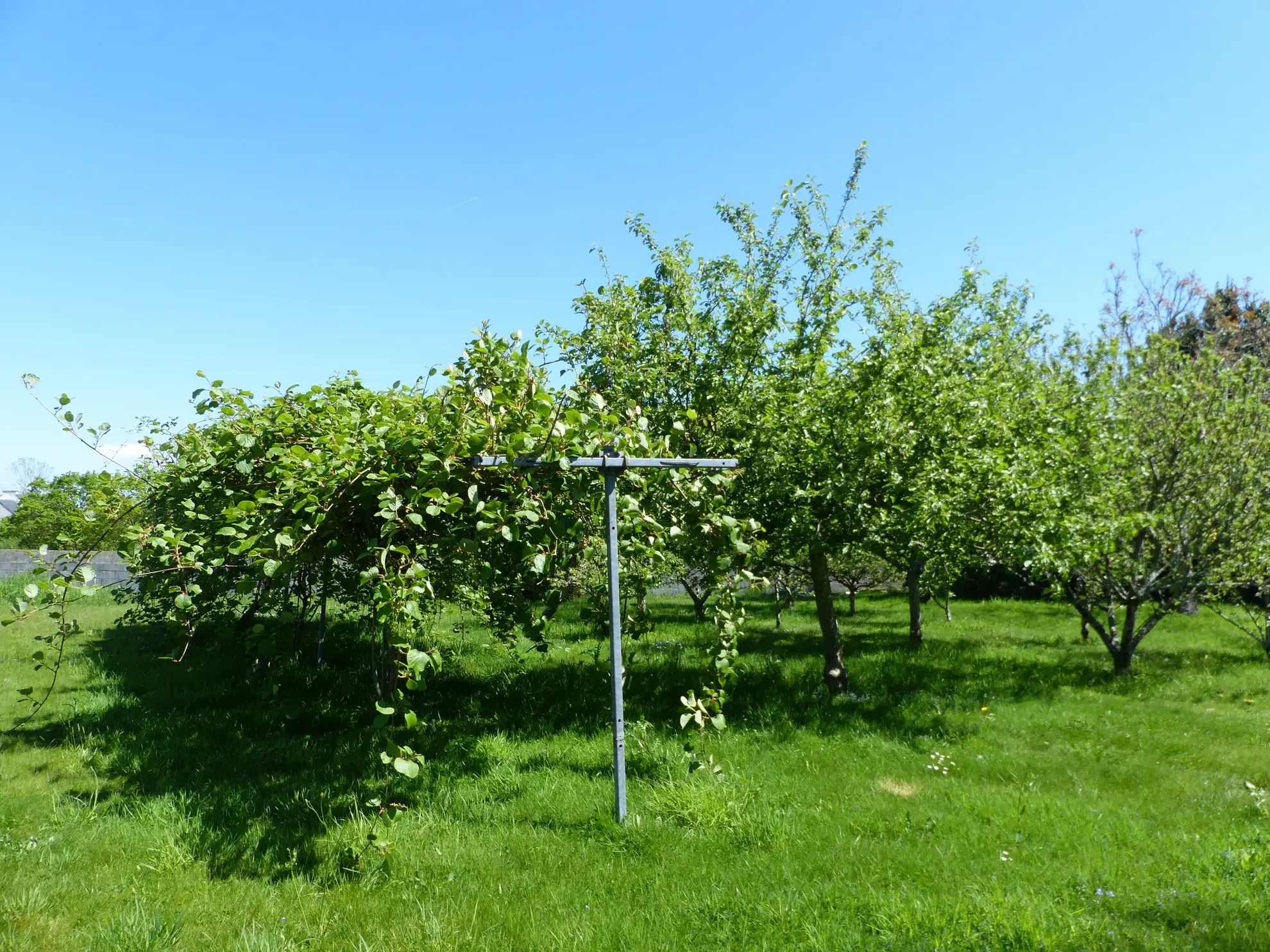 Terrain à bâtir de 1053 m² à Fouesnant, secteur calme et recherché 
