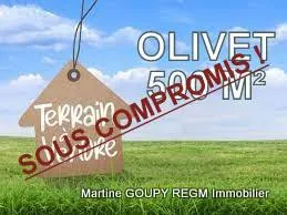 Terrain constructible de 500 m² à Olivet (45160), secteur résidentiel, libre constructeur