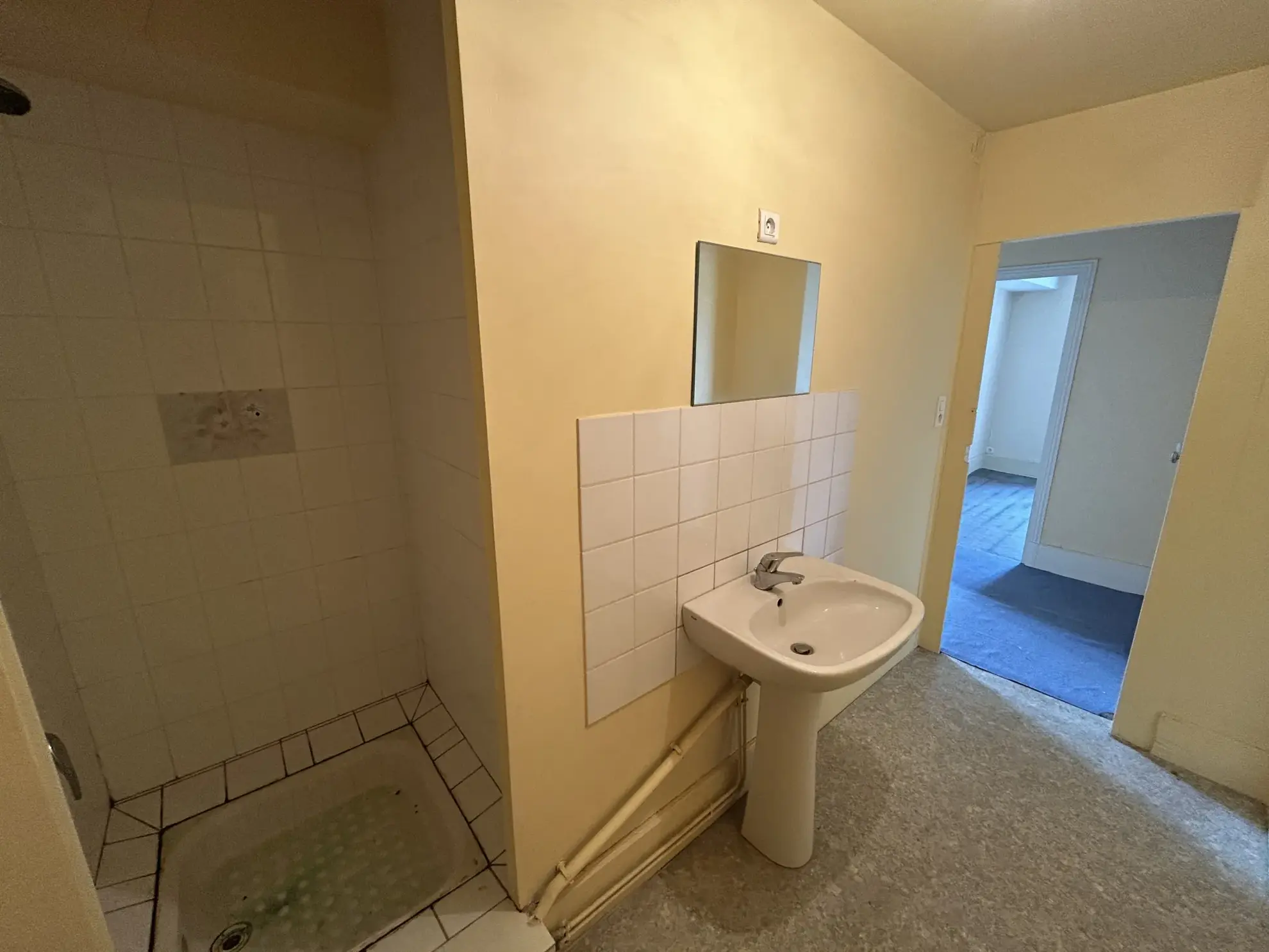 Ensemble immobilier de 207 m² à Puy-Guillaume pour investissement ou résidence 