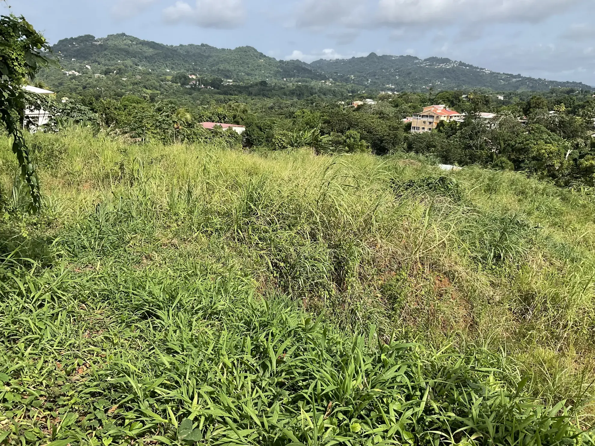 Terrain constructible de 507 m² au Robert, vue dégagée et emplacement privilégié 