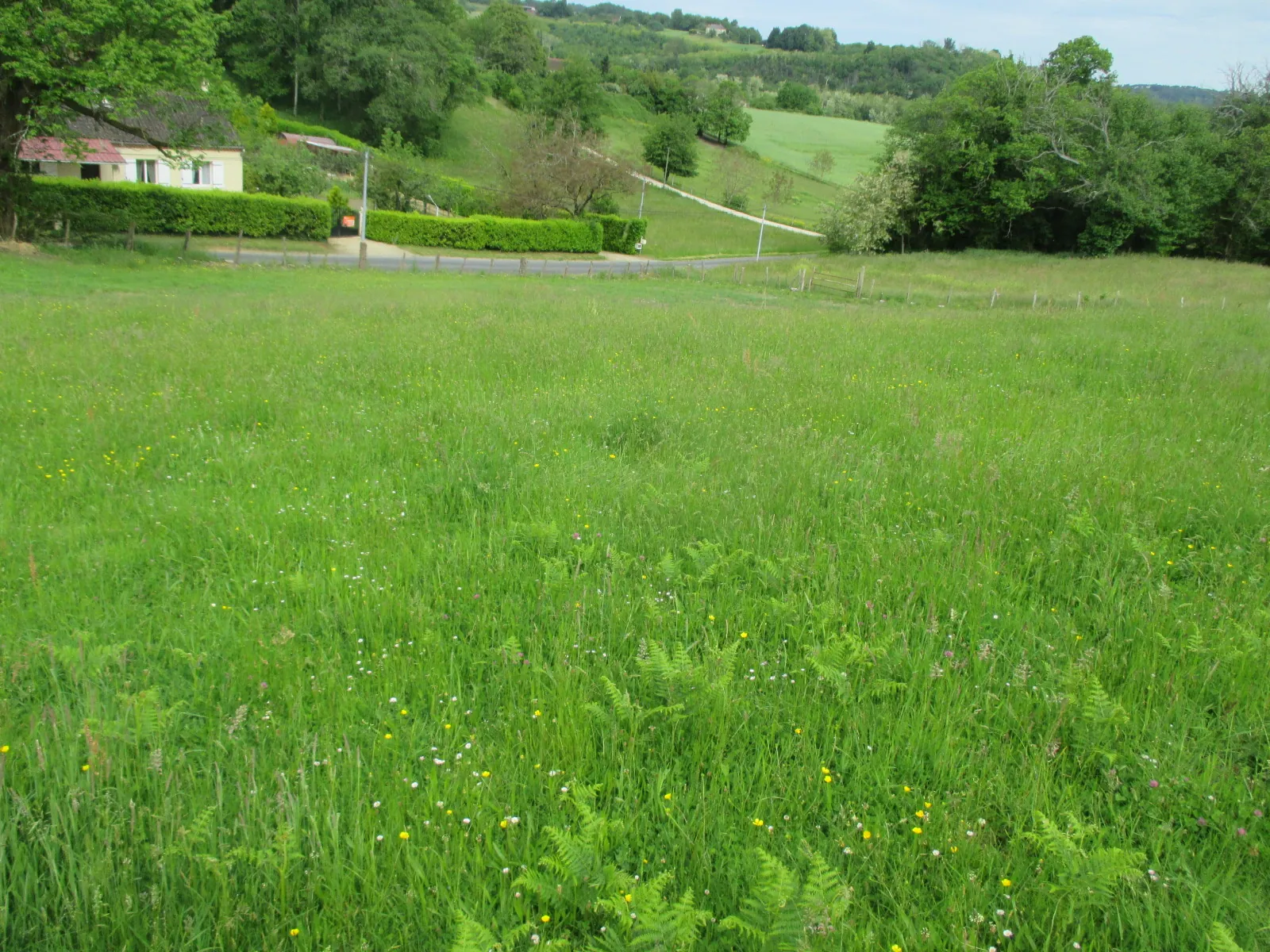 Terrain à bâtir de 2399 m² à Proissans près de Sarlat en Dordogne