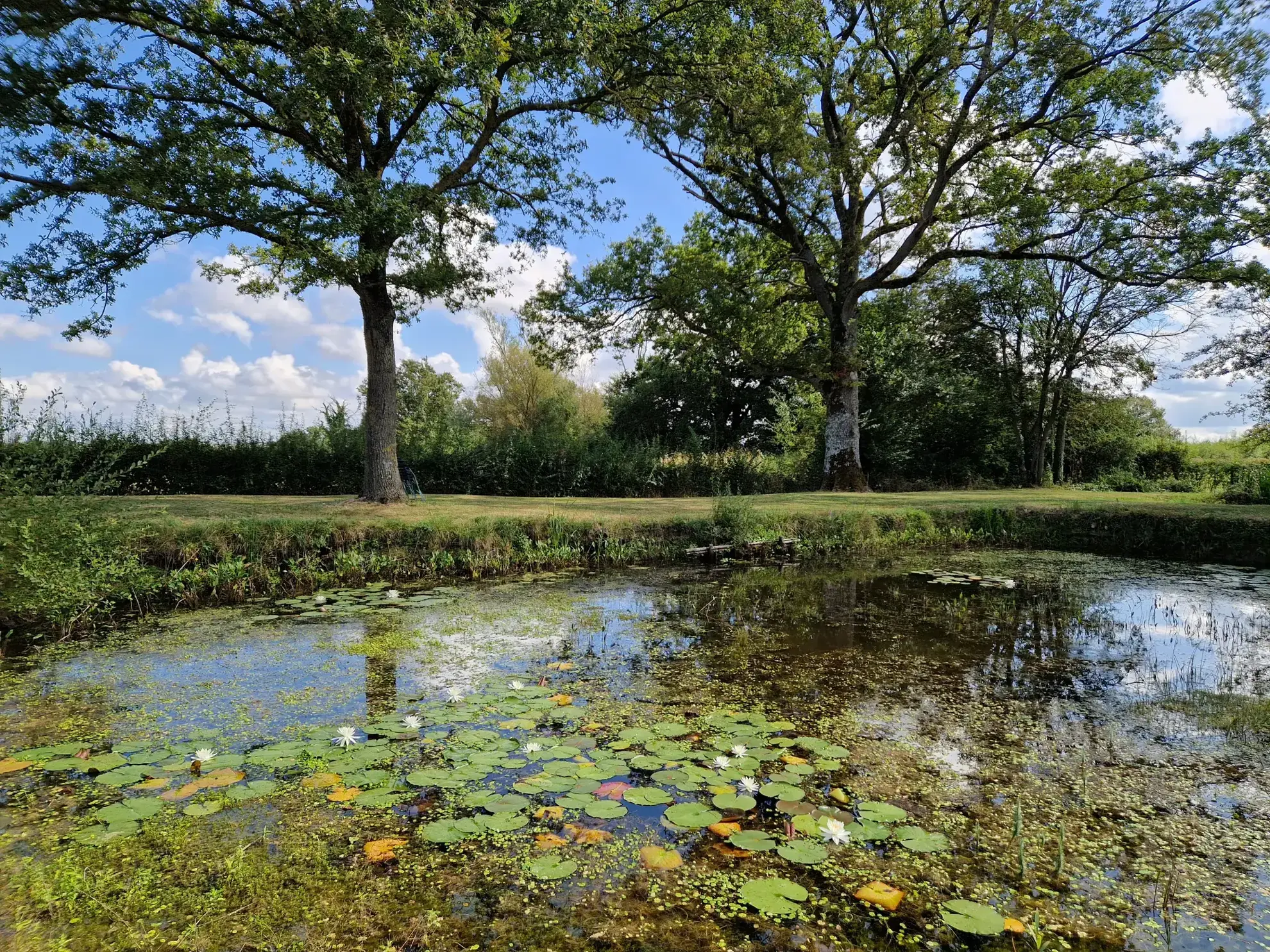 Maison avec potentiel locatif et chalet sur terrain de 5760 m² à Ainay-le-Château 