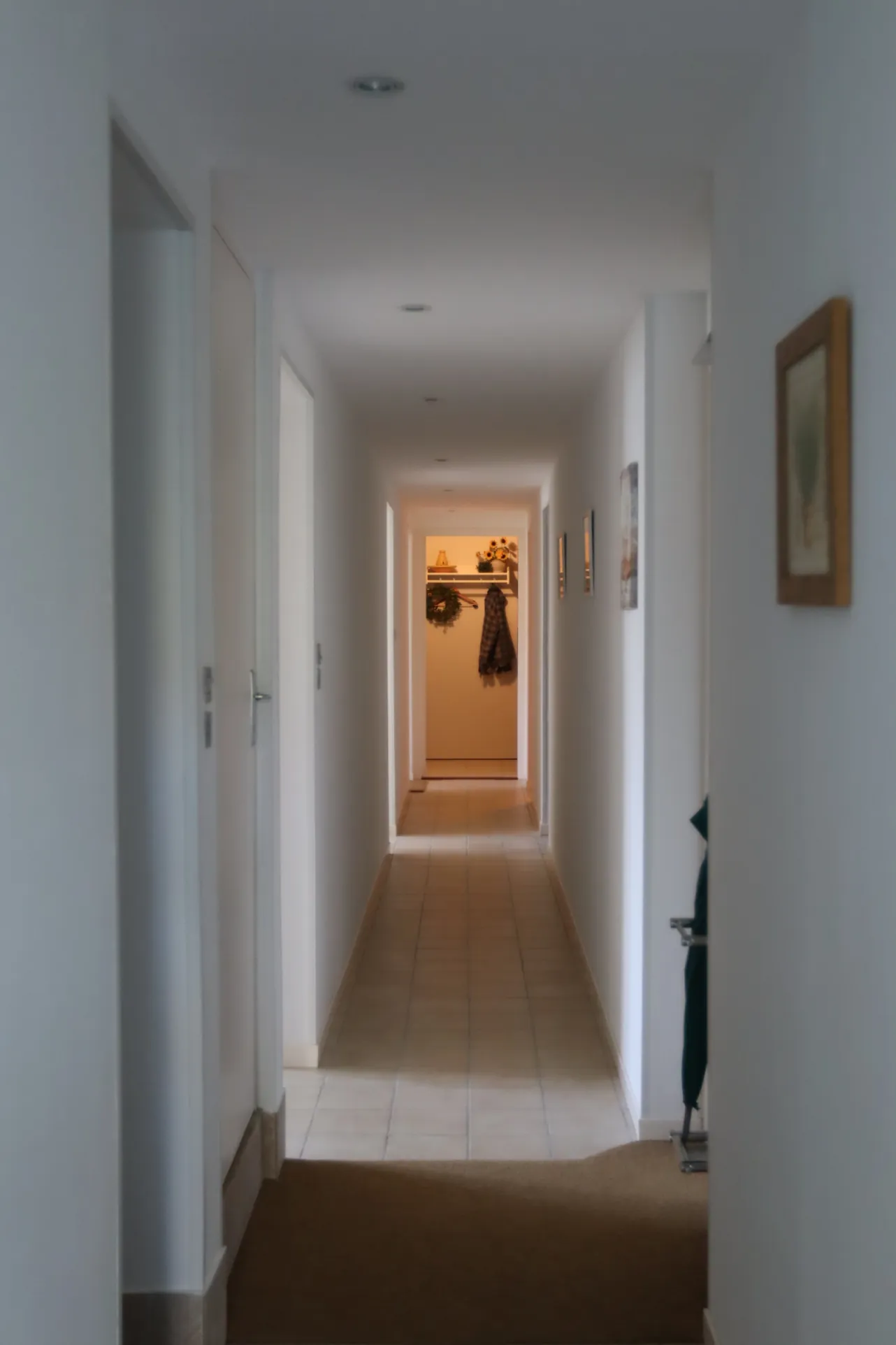 Maison avec potentiel locatif et chalet sur terrain de 5760 m² à Ainay-le-Château 