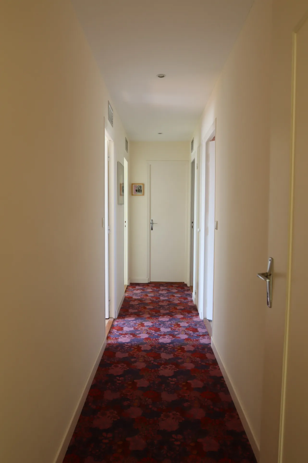 Maison avec potentiel locatif et chalet sur terrain de 5760 m² à Ainay-le-Château 