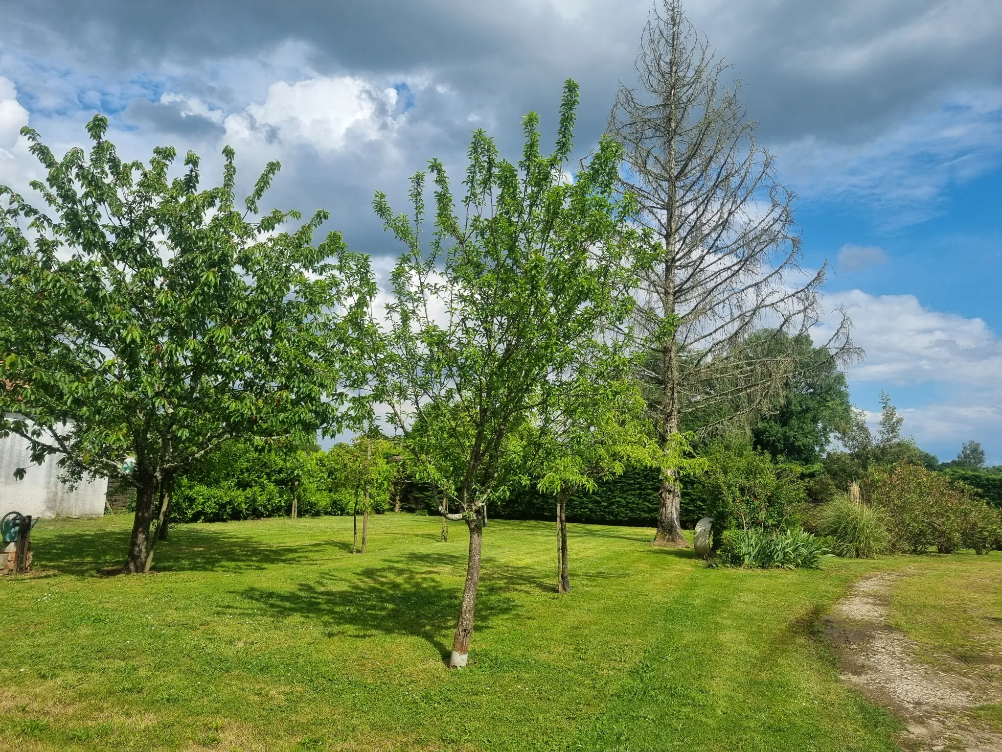 Maison à vendre à Bazas avec grand jardin et extension à terminer 