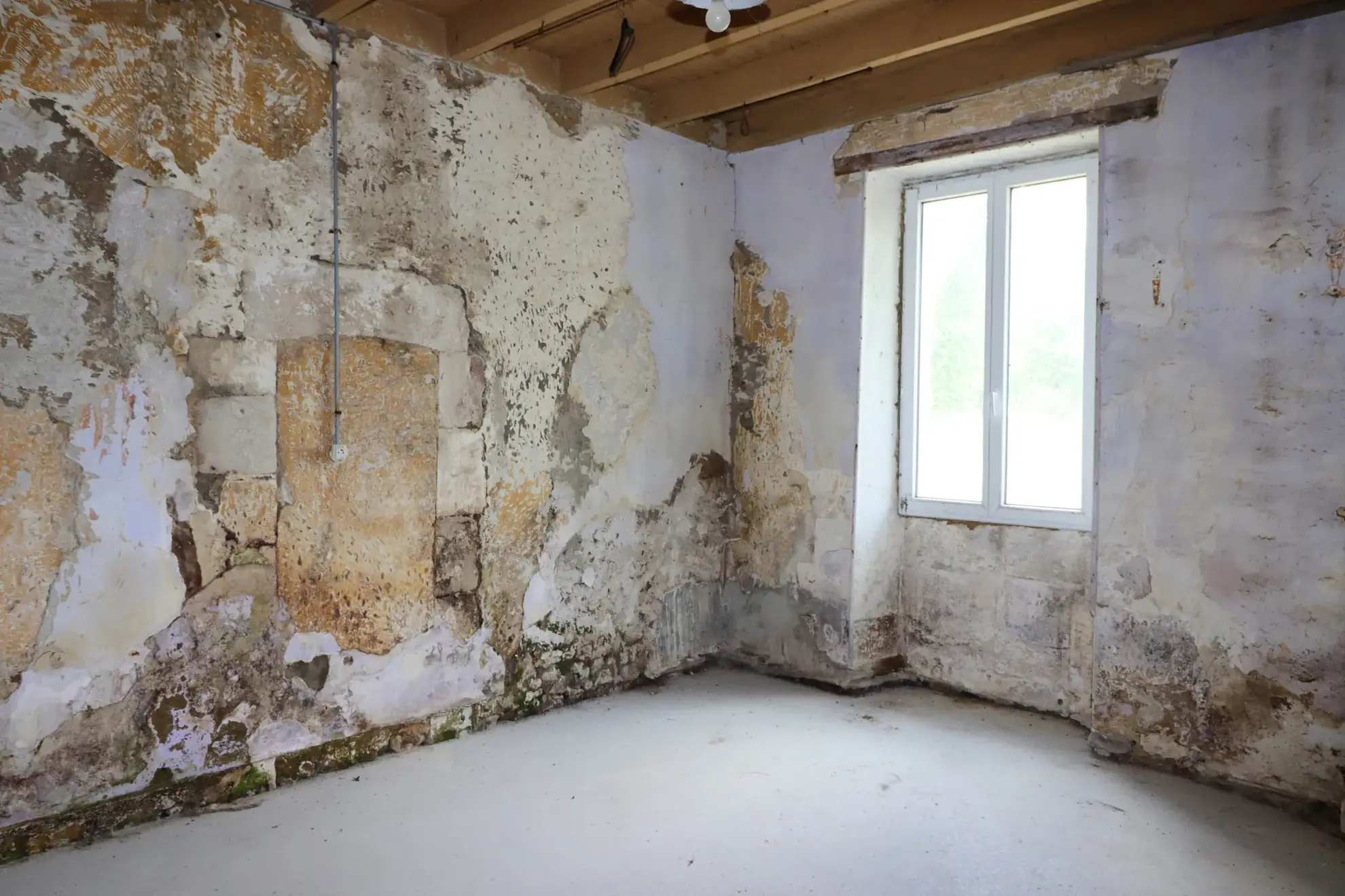 Maison de maître à vendre à Mirambeau avec grand terrain et vue dégagée 