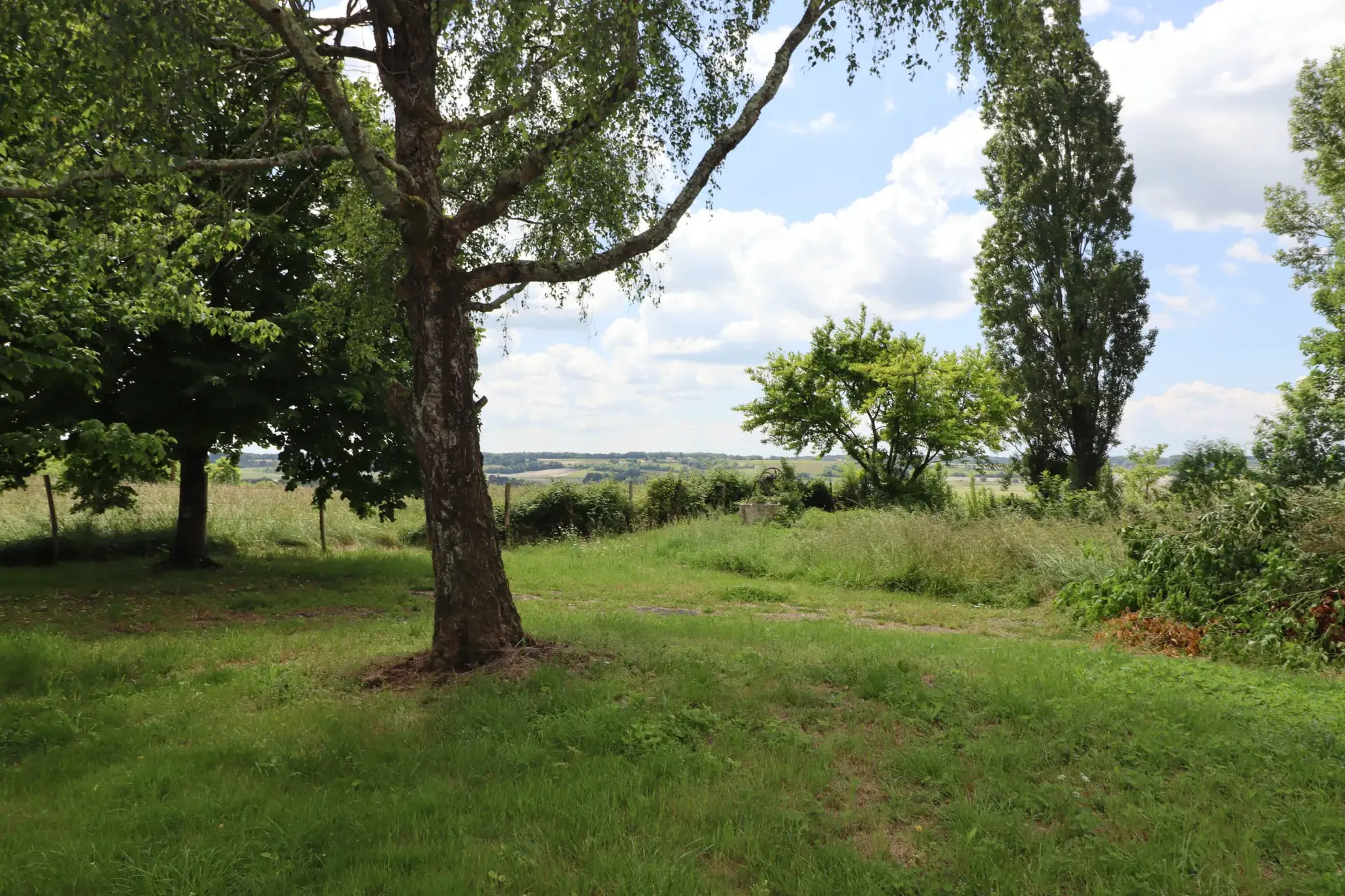 Maison de maître à vendre à Mirambeau avec grand terrain et vue dégagée 