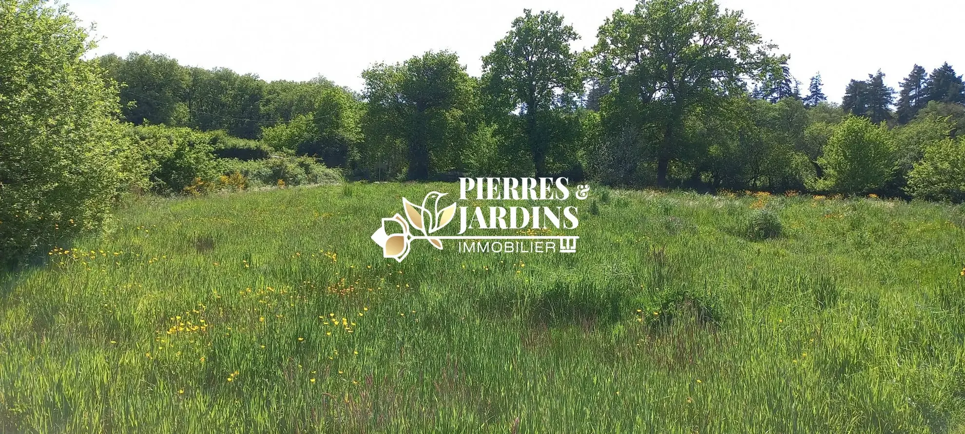 Terrain constructible de 1821 m² à Bressuire, environnement paisible et proche commodités