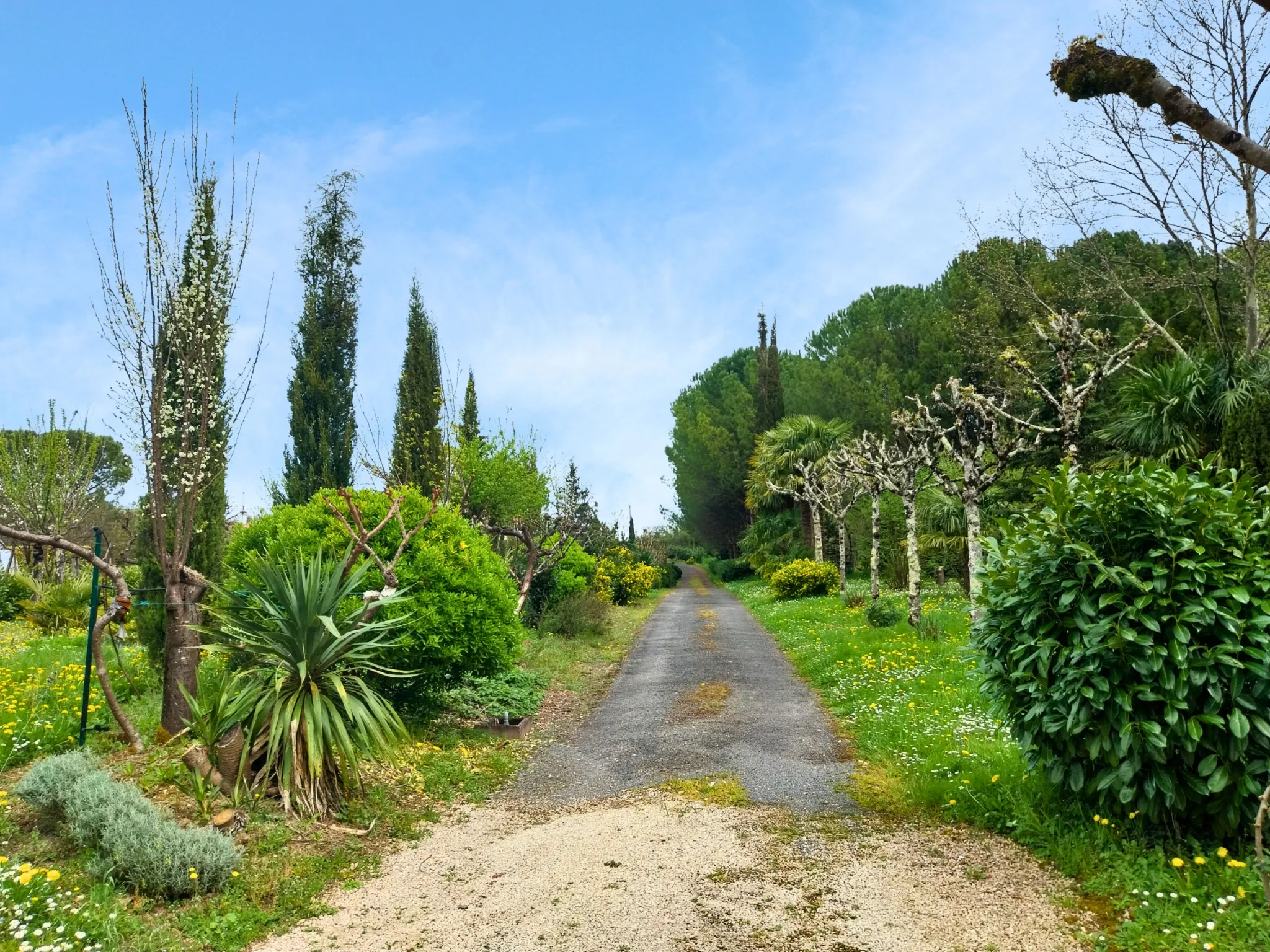 Domaine avec maison à rénover et dépendances, parc arboré à Cherves Richemont