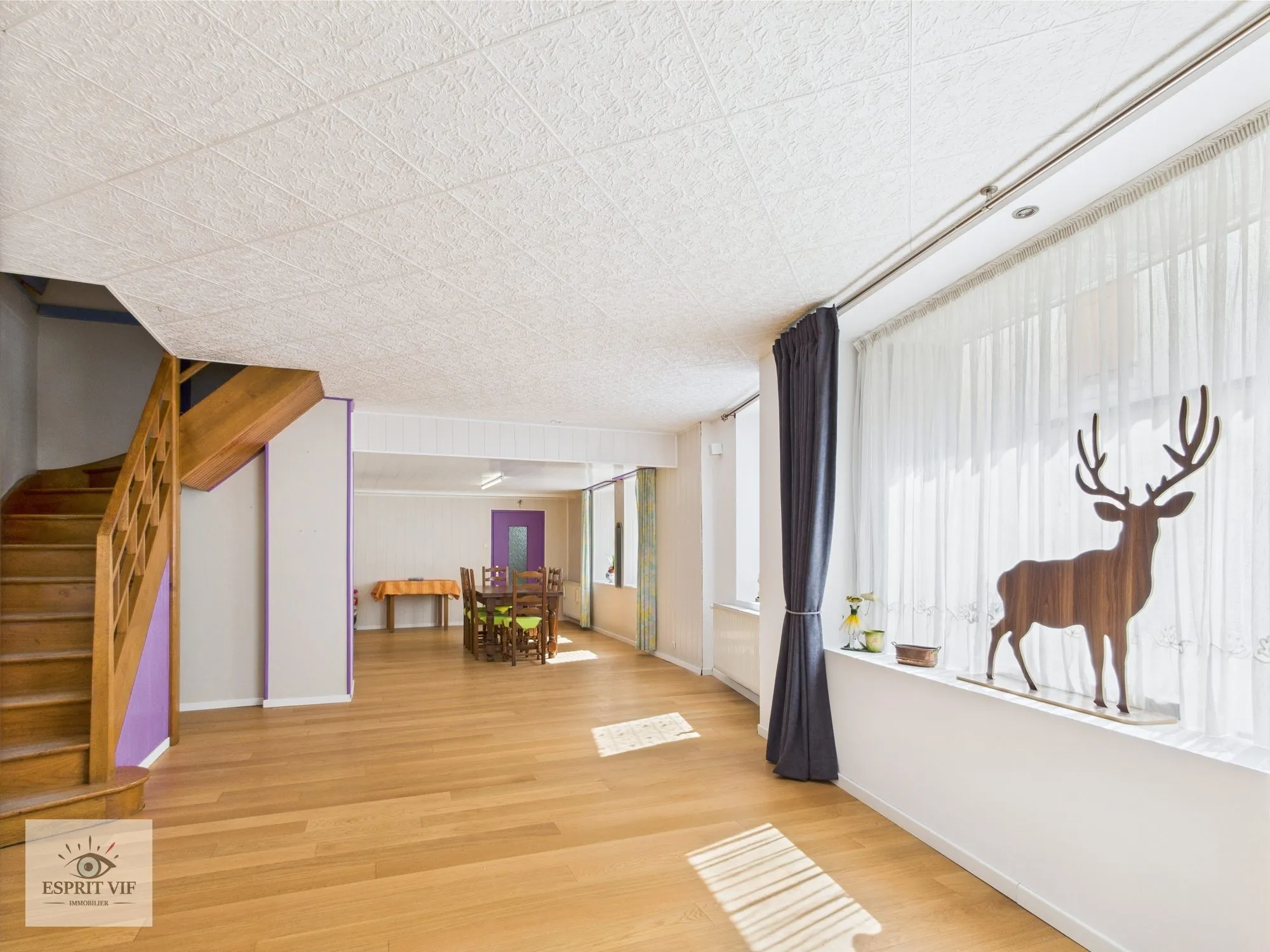 Ancienne bâtisse à Vic-sur-Seille avec duplex et appartement indépendant – Opportunité d'investissement