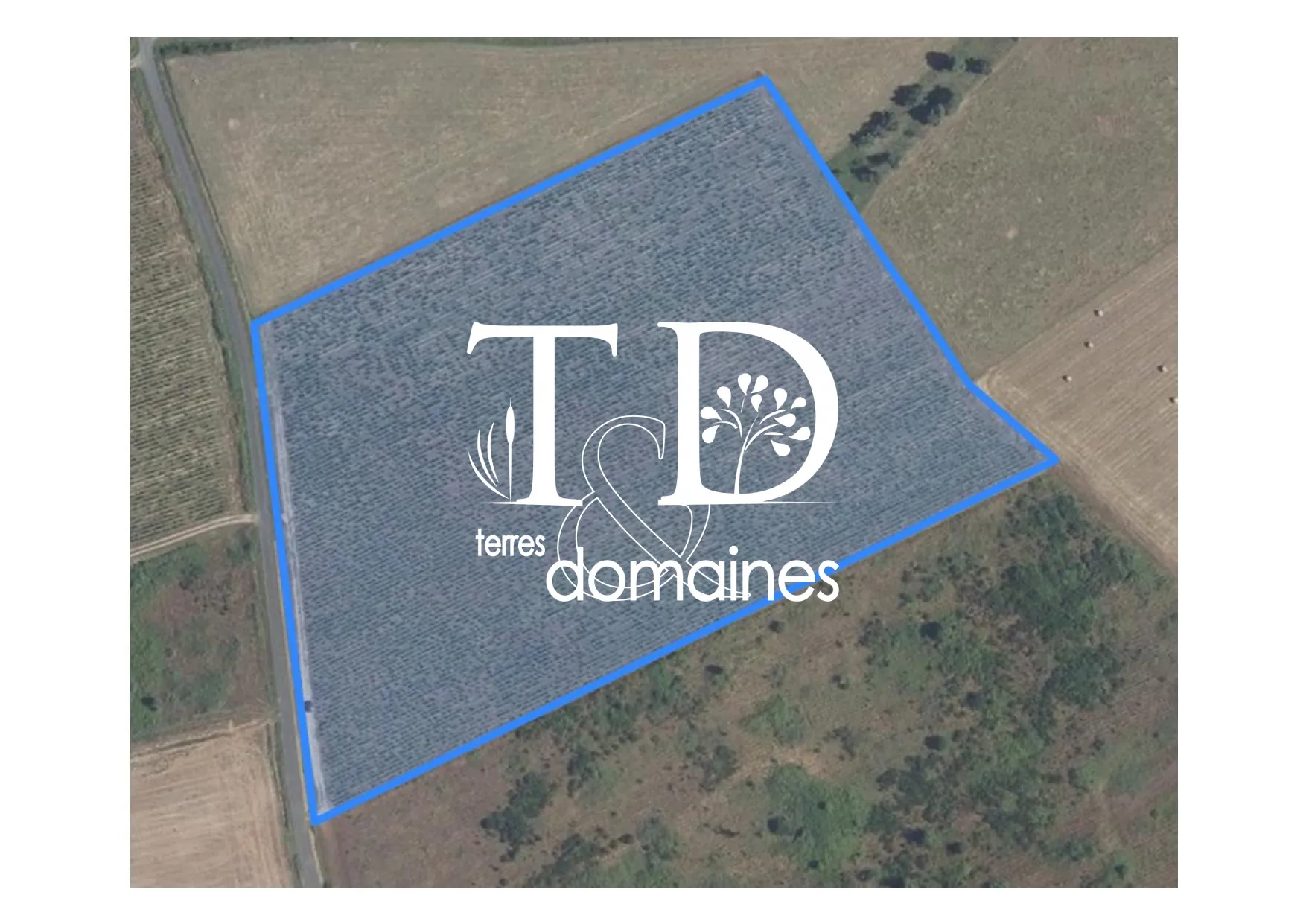 Achat terrain viticole AOC Châteaumeillant de 3,19 ha en Centre-Loire 