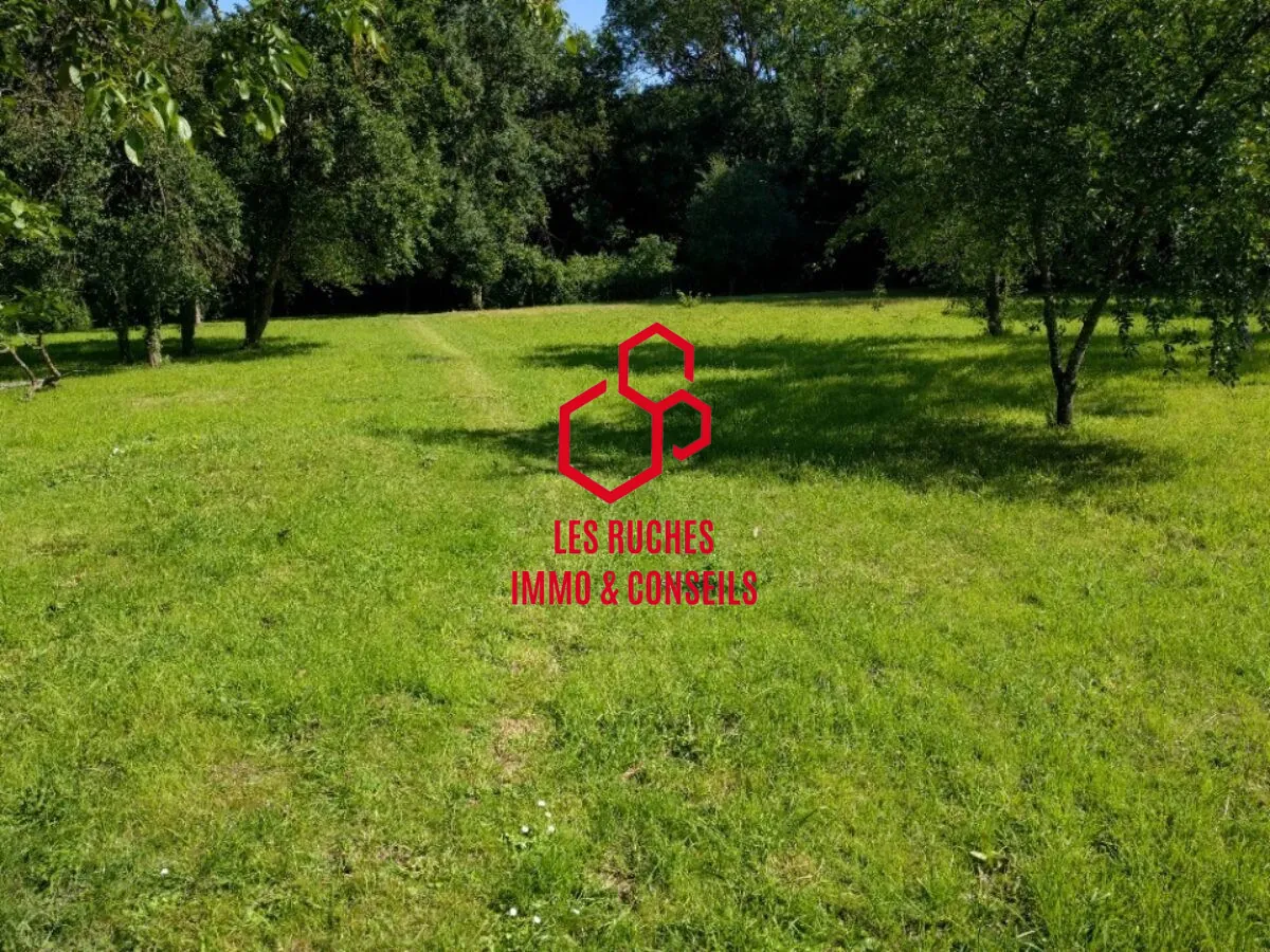 Terrain constructible de 500 m² à Quincy-Voisins avec potentiel pour maison et piscine