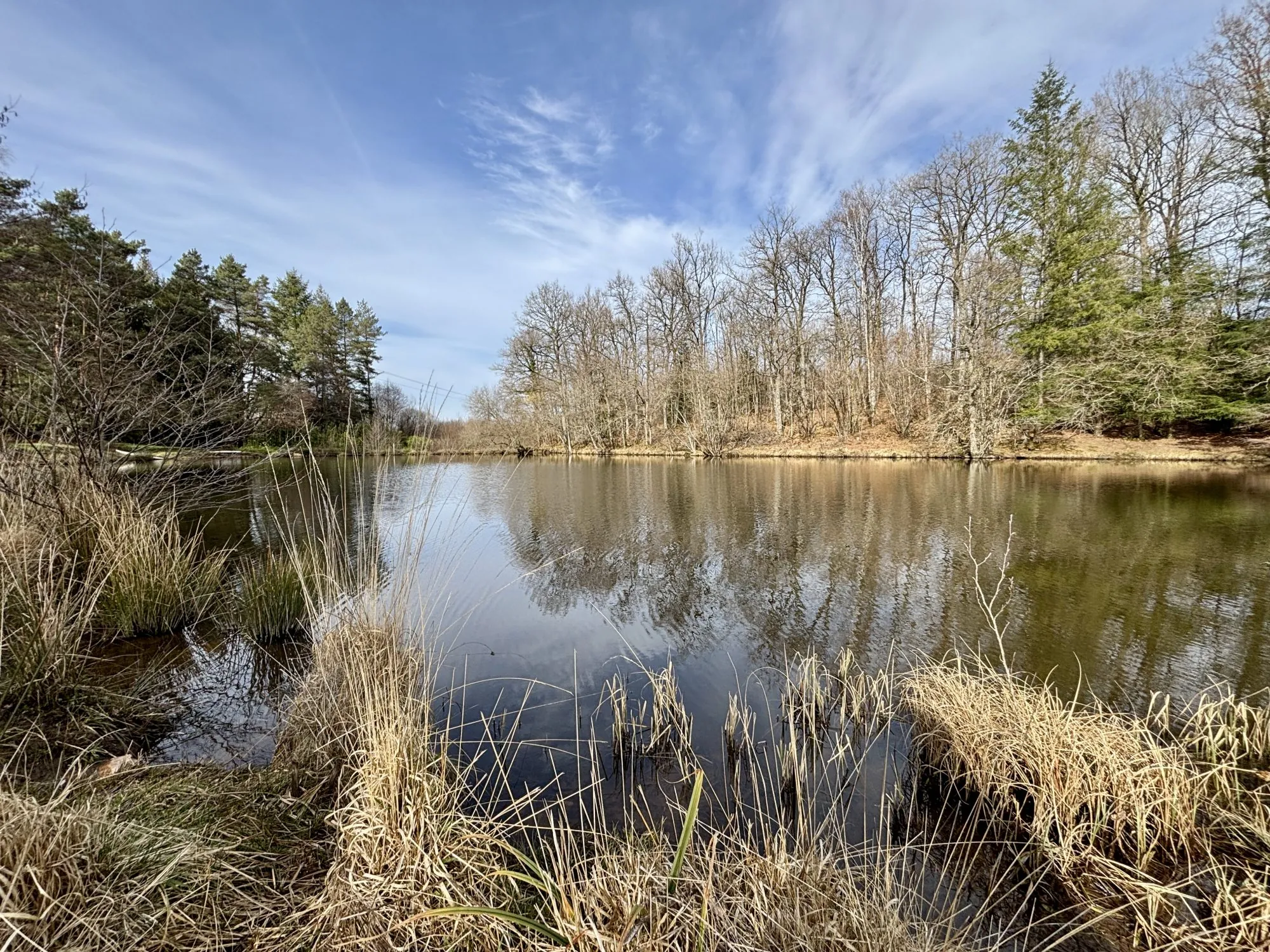 Terrain avec étang et zones boisées à Saint Yrieix La Perche - Haute Vienne