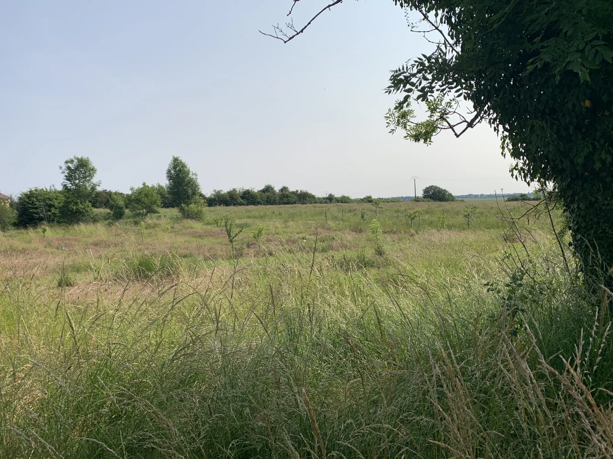 Terrain constructible à vendre à Prenois près de Dijon avec permis purgé