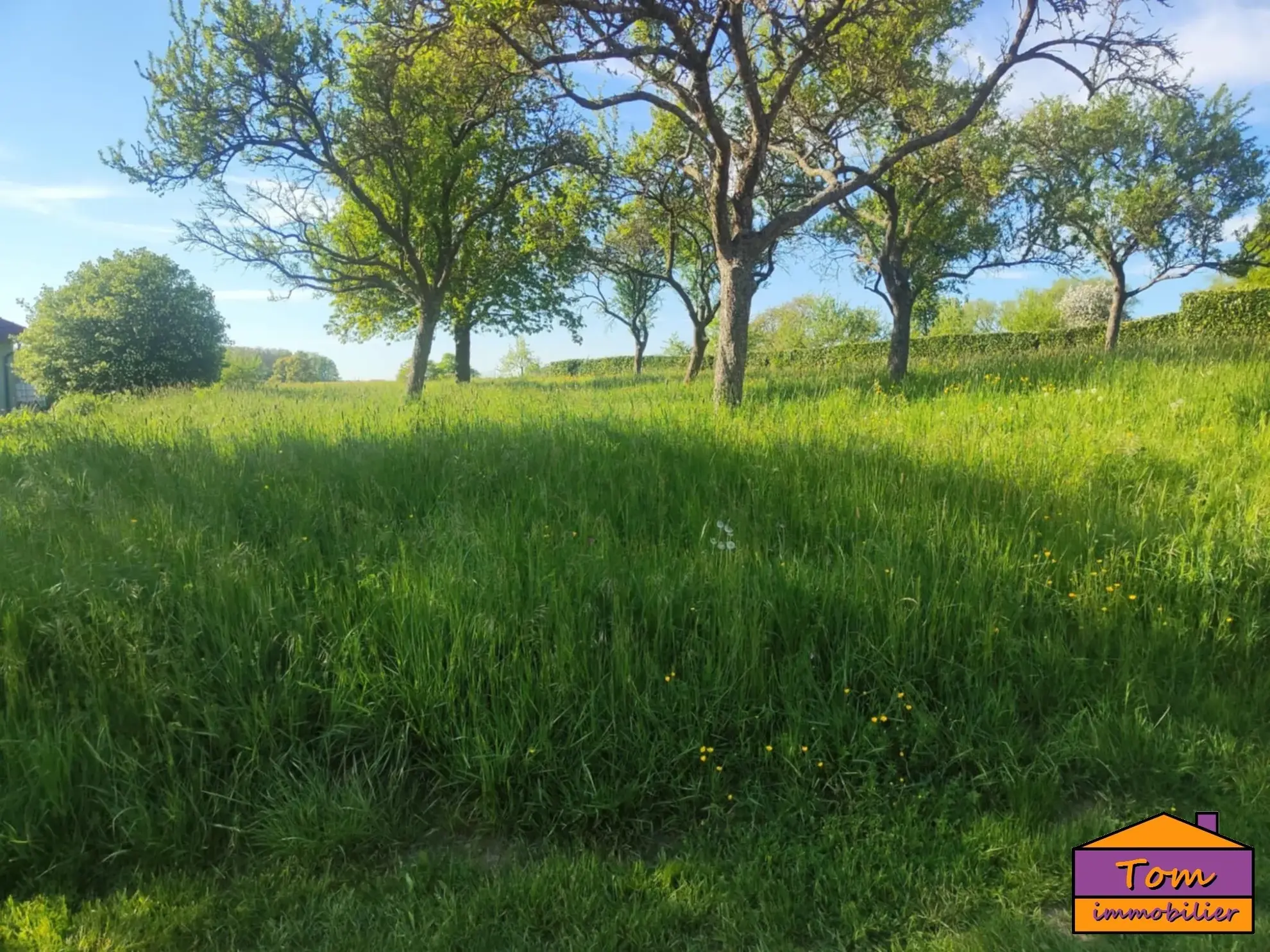Terrain constructible de 1700 m² à Eschviller avec vue dégagée 