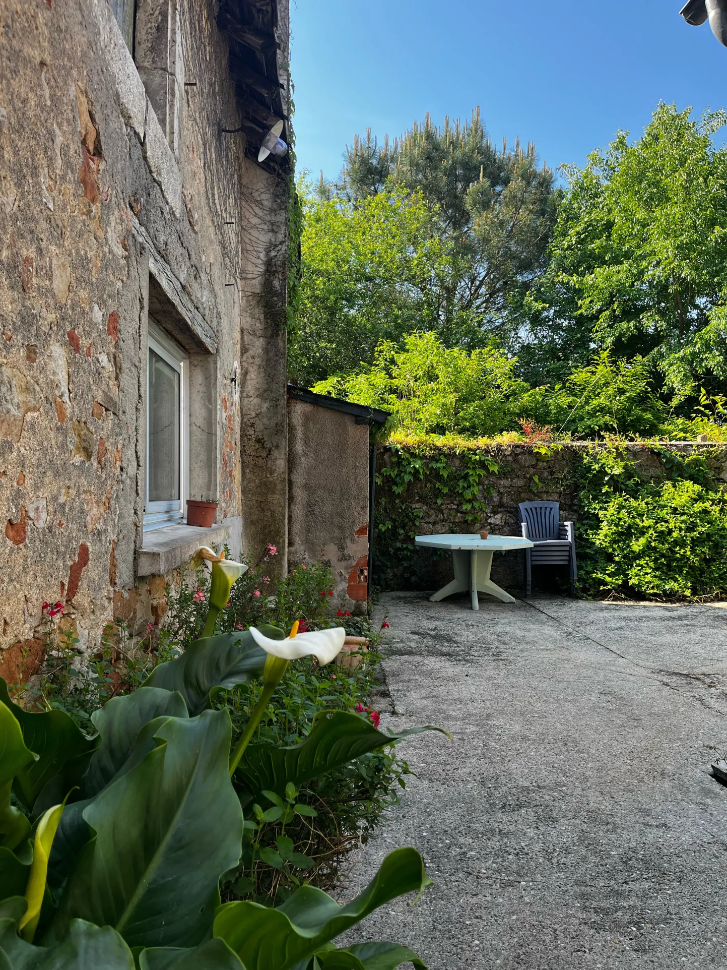 Immeuble avec local commercial, appartement rénové, atelier et cour arborée à Rosnay