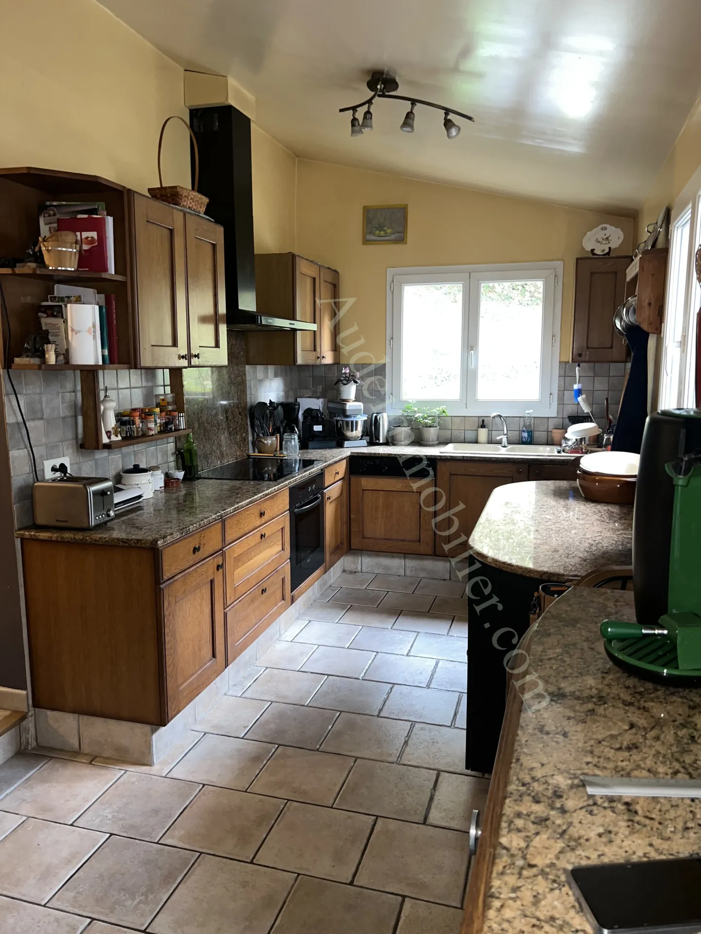 Maison de village en Haute-Vallée de l'Aude avec terrasse, garage et cour 