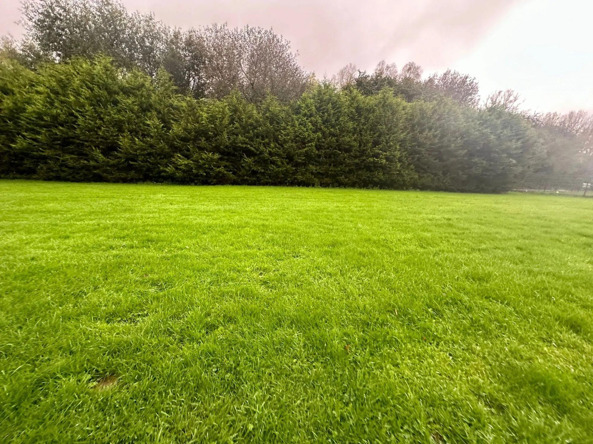 Terrain constructible de 1307 m² à Anvin, environnement paisible et raccordements prêts 