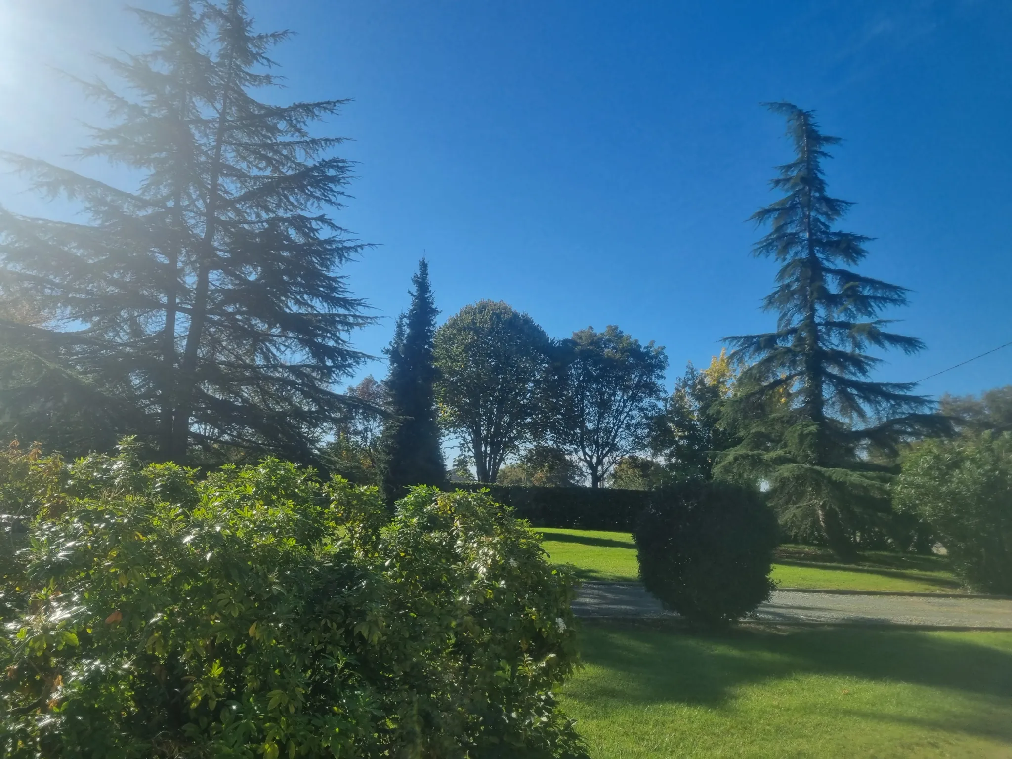 Maison en pierre rénovée à Bazas avec grand jardin et terrasse couvertes 