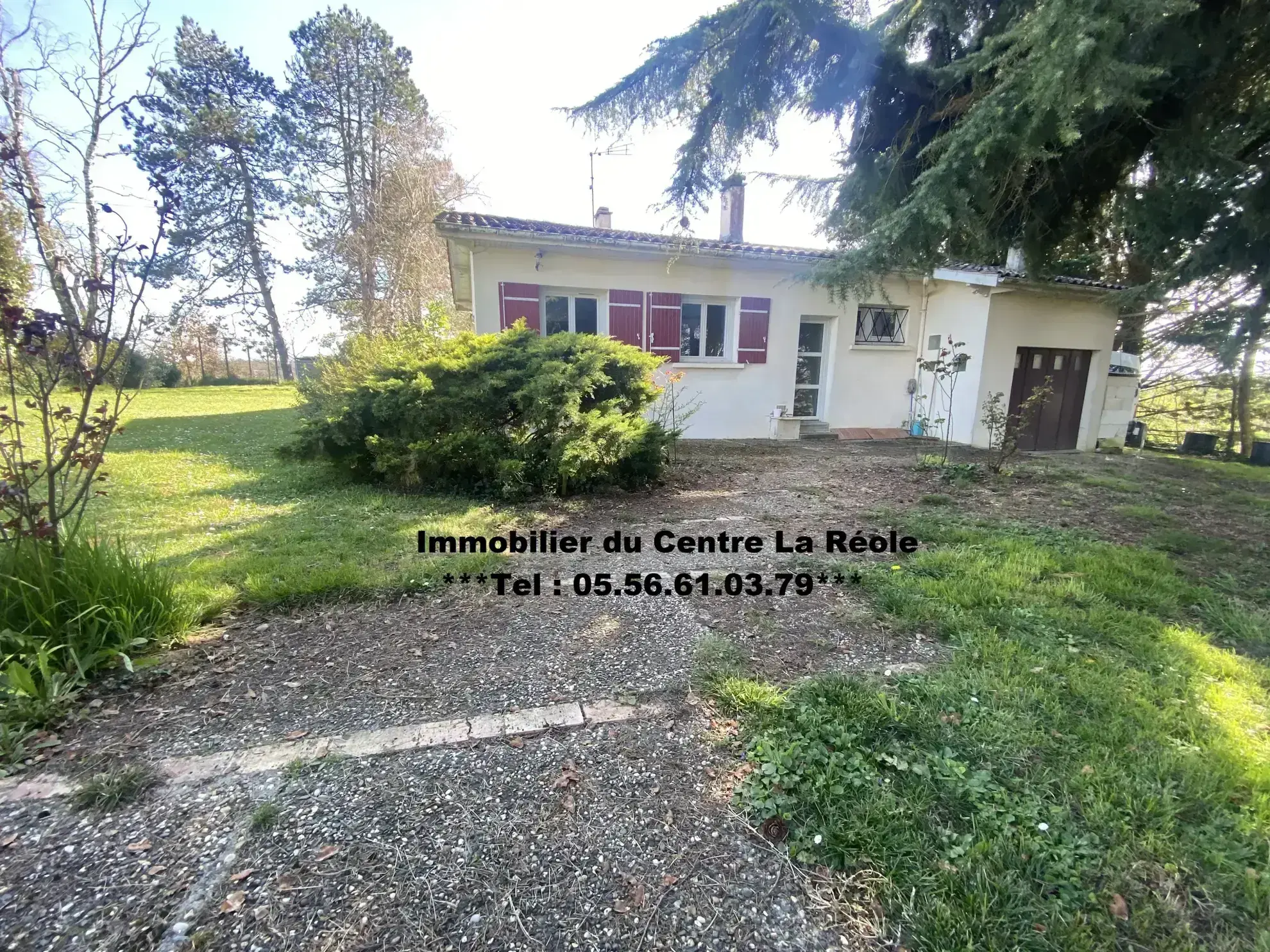 Achat maison de plain-pied de 85 m² avec terrain arboré à Monségur