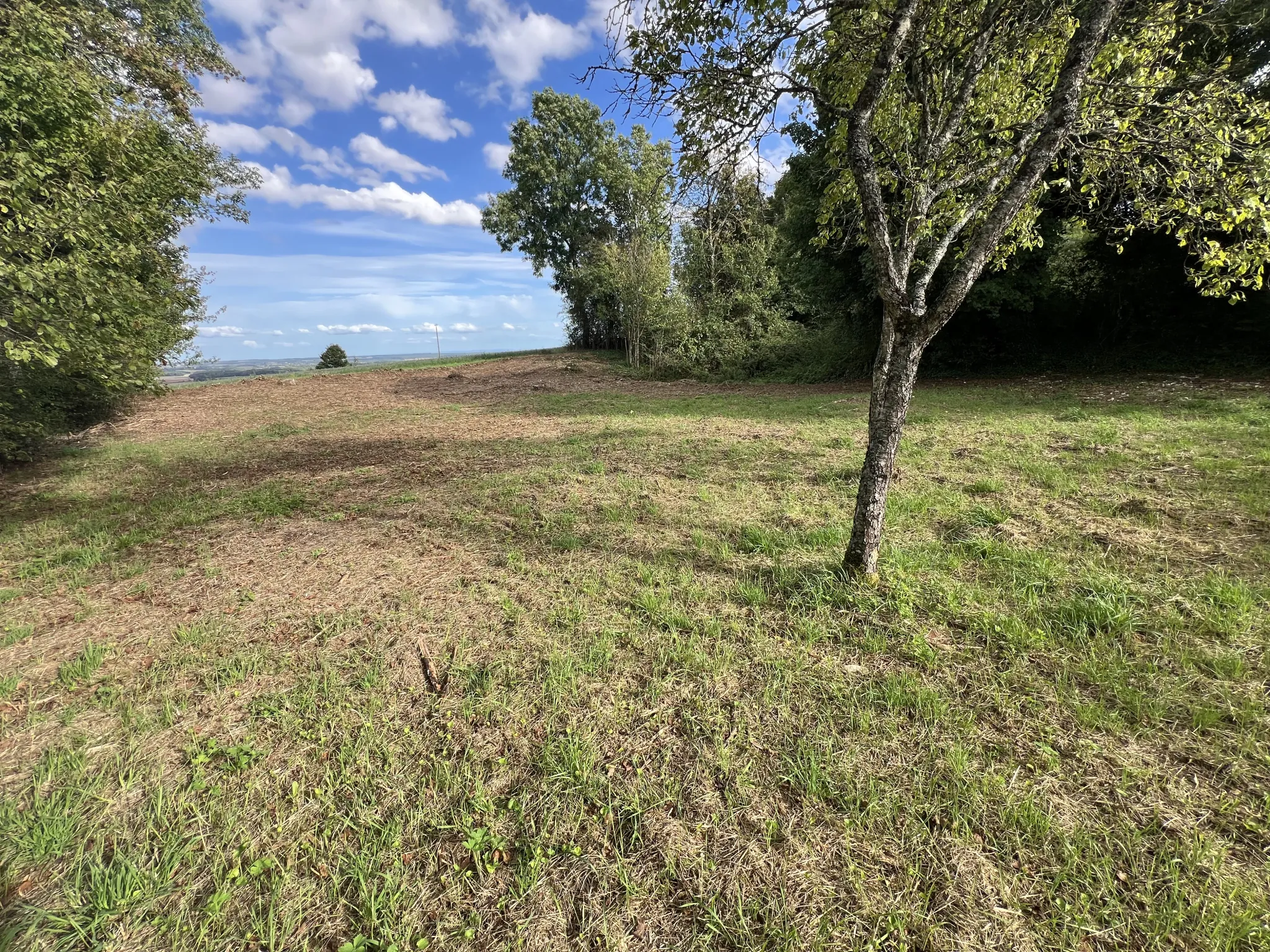 Terrain constructible arboré à Bouhy - 1172 m² avec étude de sol et compteur d'eau