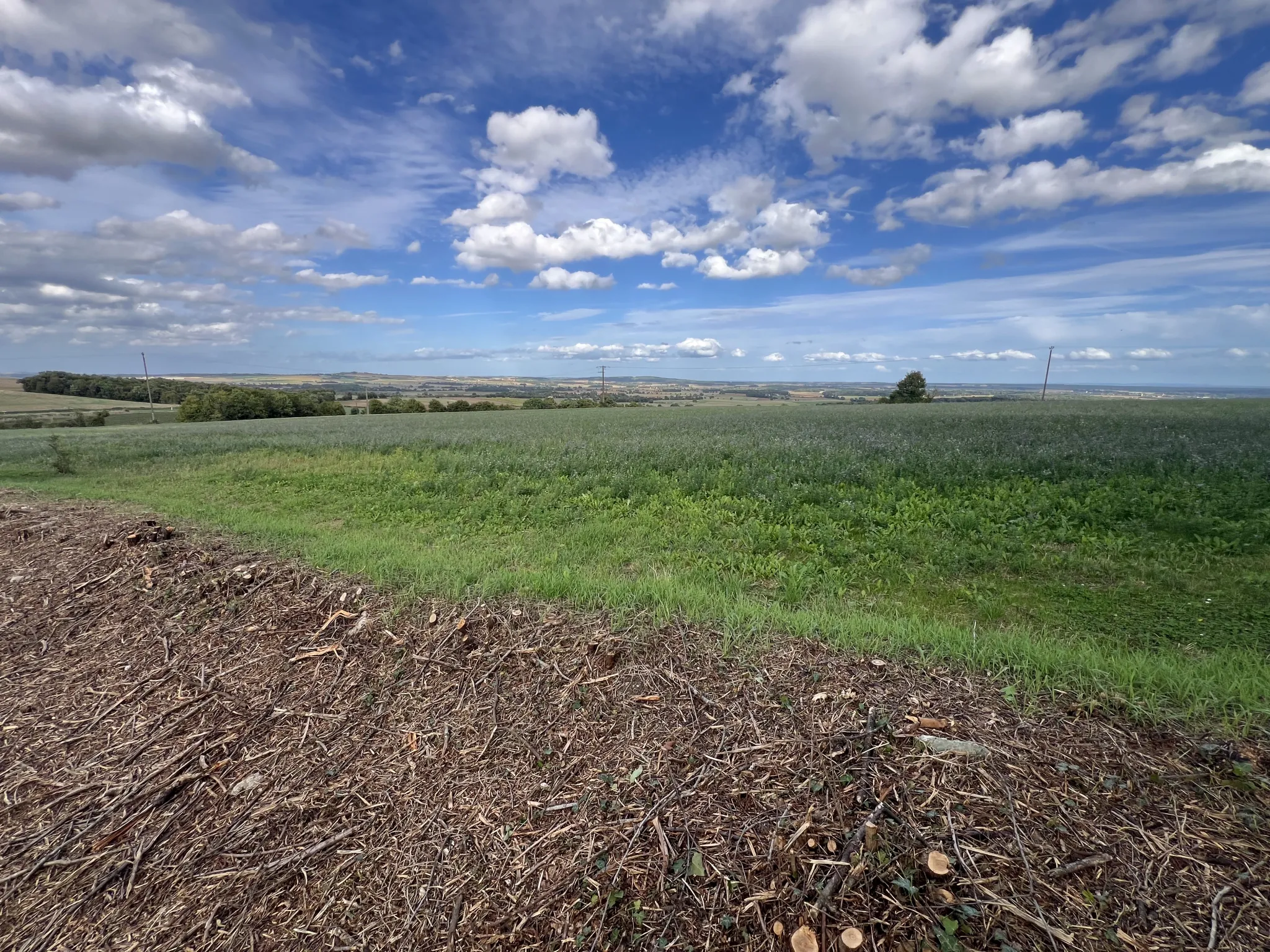 Terrain constructible arboré à Bouhy - 1172 m² avec étude de sol et compteur d'eau 
